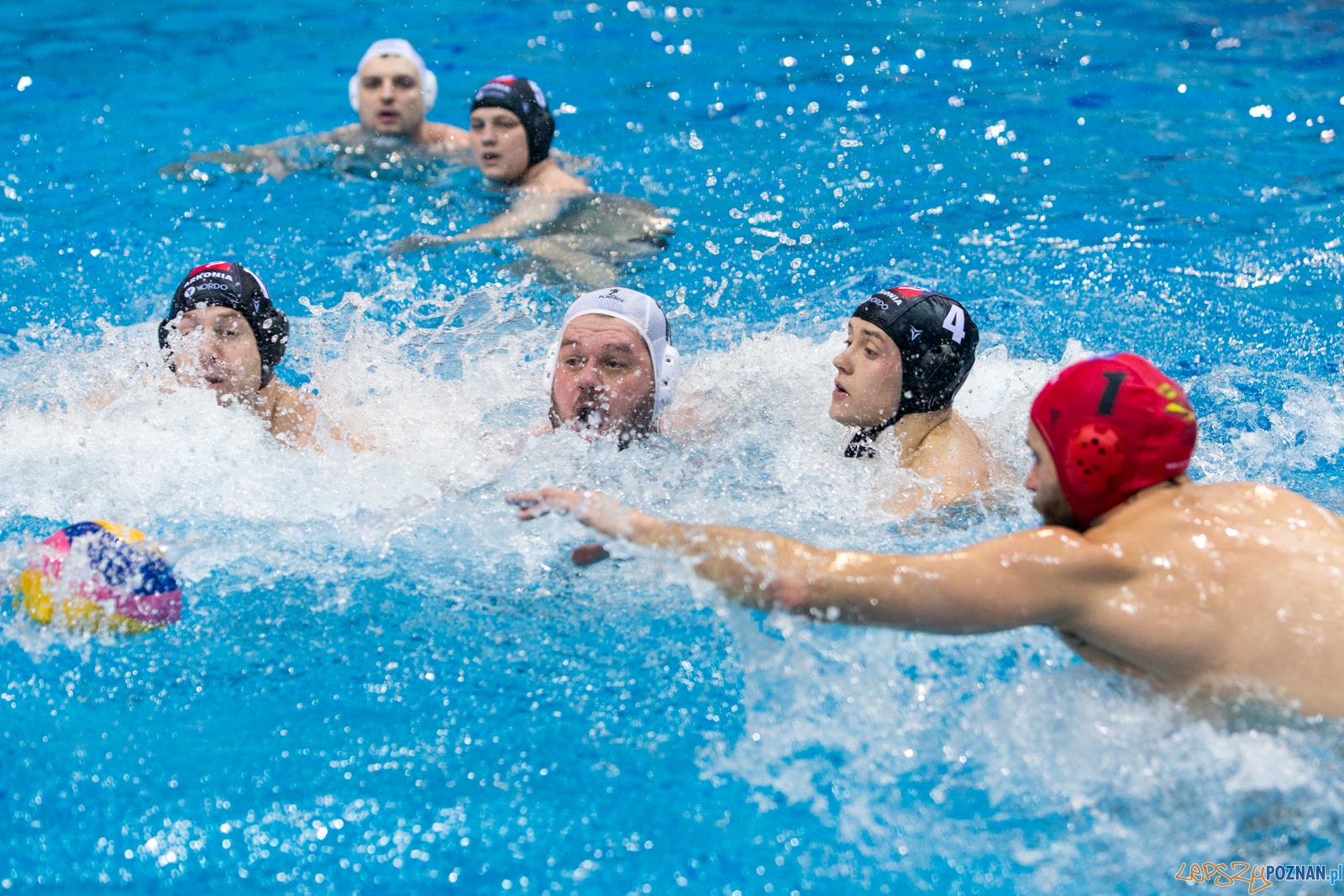 Waterpolo Poznań - Arkonia Szczecin Foto: lepszyPOZNAN.pl / Piotr Rychter Waterpolo Poznań - Arkonia Szczecin Foto: lepszyPOZNAN.pl / Piotr Rychter
