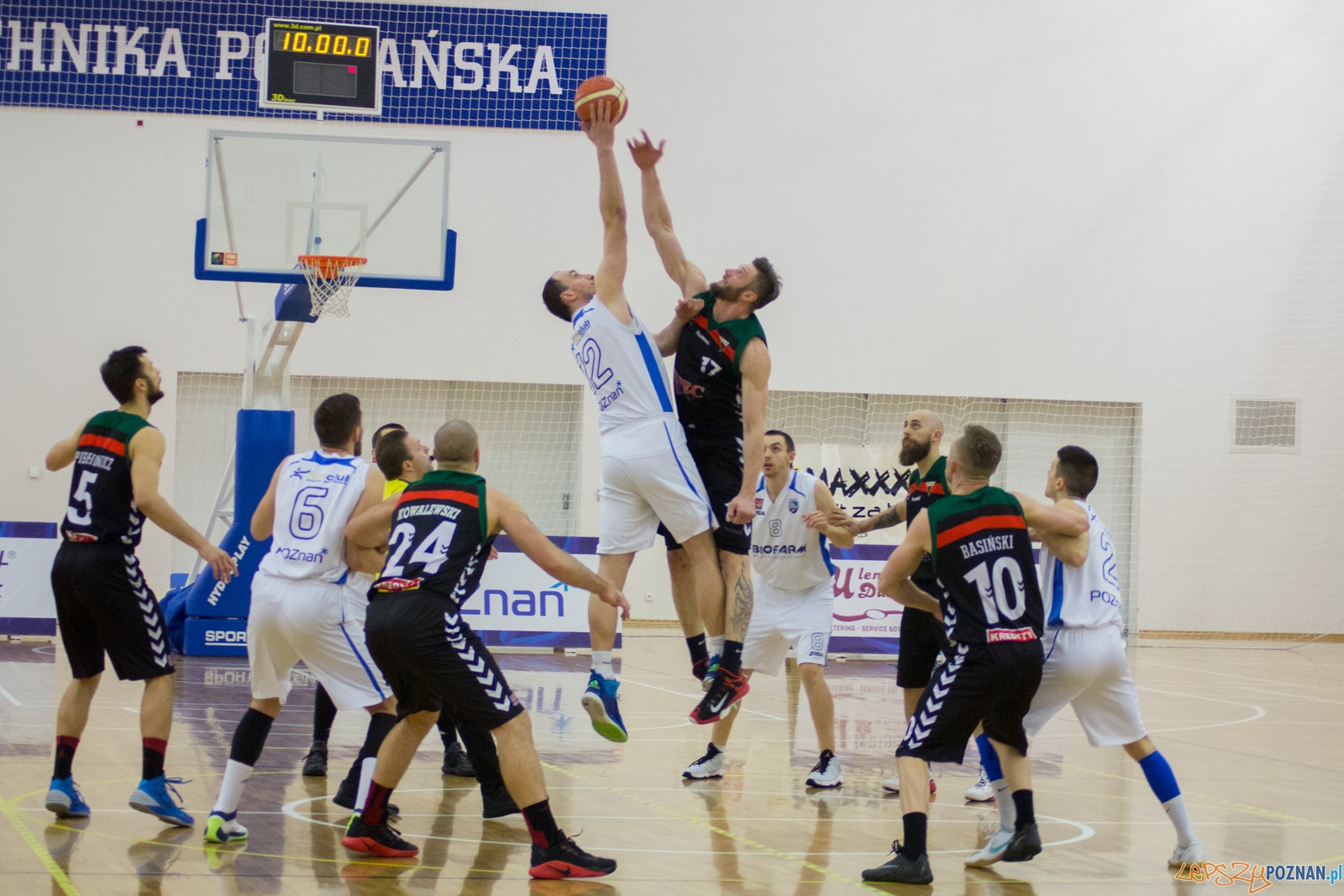 Biofarm Basket Poznań - GKS Tychy Foto: lepszyPOZNAN.pl / Ewelina Jaśkowiak Biofarm Basket Poznań - GKS Tychy Foto: lepszyPOZNAN.pl / Ewelina Jaśkowiak