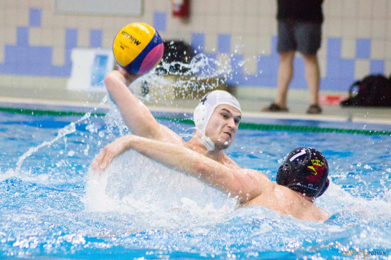 KS Waterpolo Poznań - Arkonia Szczecin Foto: lepszyPOZNAN.pl / Ewelina Jaśkowiak KS Waterpolo Poznań - Arkonia Szczecin Foto: lepszyPOZNAN.pl / Ewelina Jaśkowiak