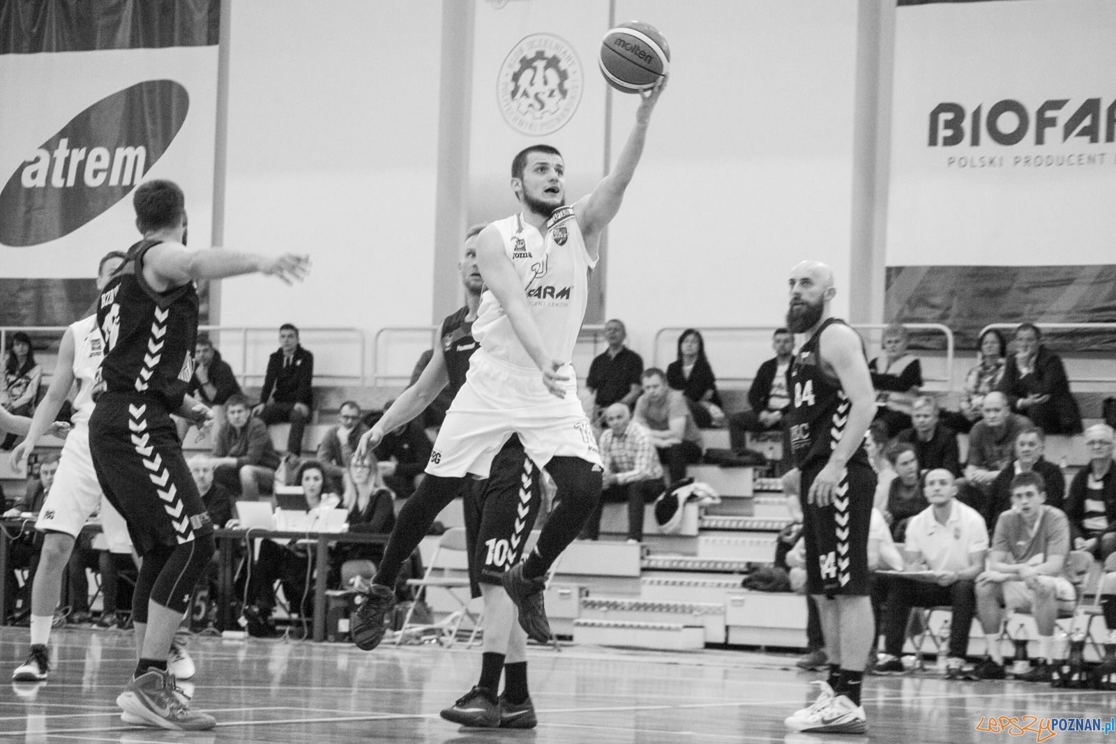 Biofarm Basket Poznań - GKS Tychy Foto: lepszyPOZNAN.pl / Ewelina Jaśkowiak Biofarm Basket Poznań - GKS Tychy Foto: lepszyPOZNAN.pl / Ewelina Jaśkowiak