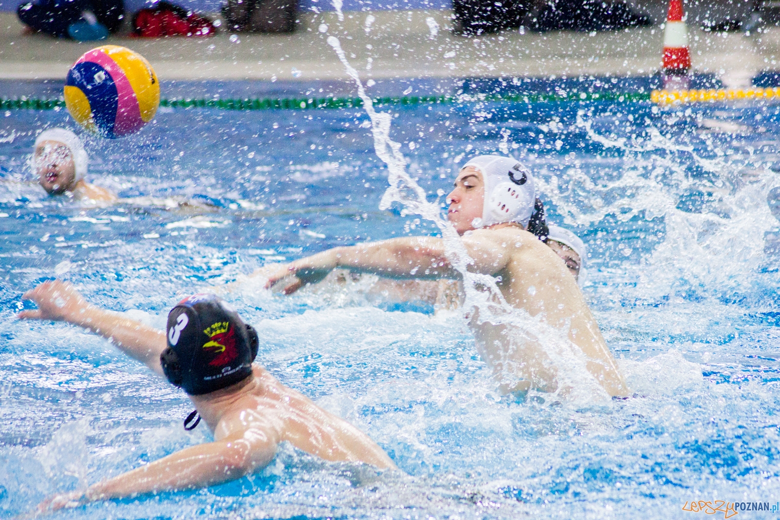 KS Waterpolo Poznań - Arkonia Szczecin (mecz rewanżowy) Foto: lepszyPOZNAN.pl / Ewelina Jaśkowiak KS Waterpolo Poznań - Arkonia Szczecin (mecz rewanżowy) Foto: lepszyPOZNAN.pl / Ewelina Jaśkowiak
