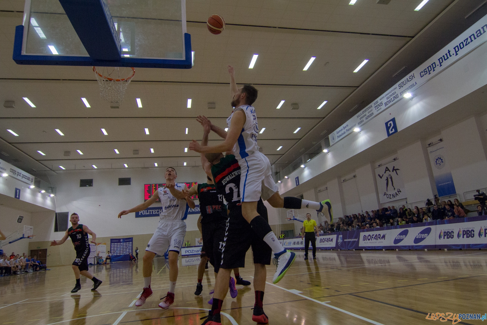 Biofarm Basket Poznań - GKS Tychy Foto: lepszyPOZNAN.pl / Ewelina Jaśkowiak Biofarm Basket Poznań - GKS Tychy Foto: lepszyPOZNAN.pl / Ewelina Jaśkowiak