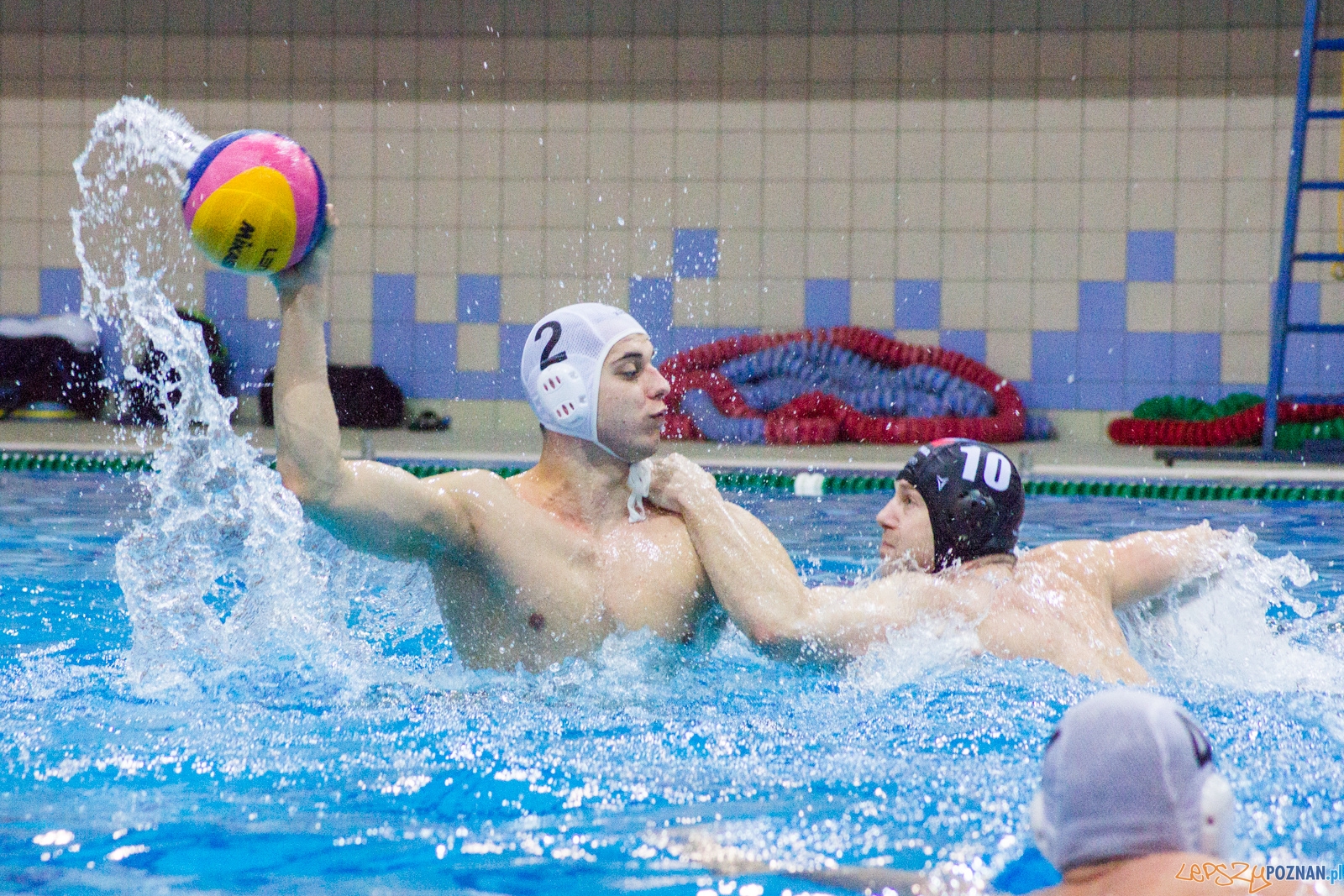 KS Waterpolo Poznań - Arkonia Szczecin Foto: lepszyPOZNAN.pl / Ewelina Jaśkowiak KS Waterpolo Poznań - Arkonia Szczecin Foto: lepszyPOZNAN.pl / Ewelina Jaśkowiak