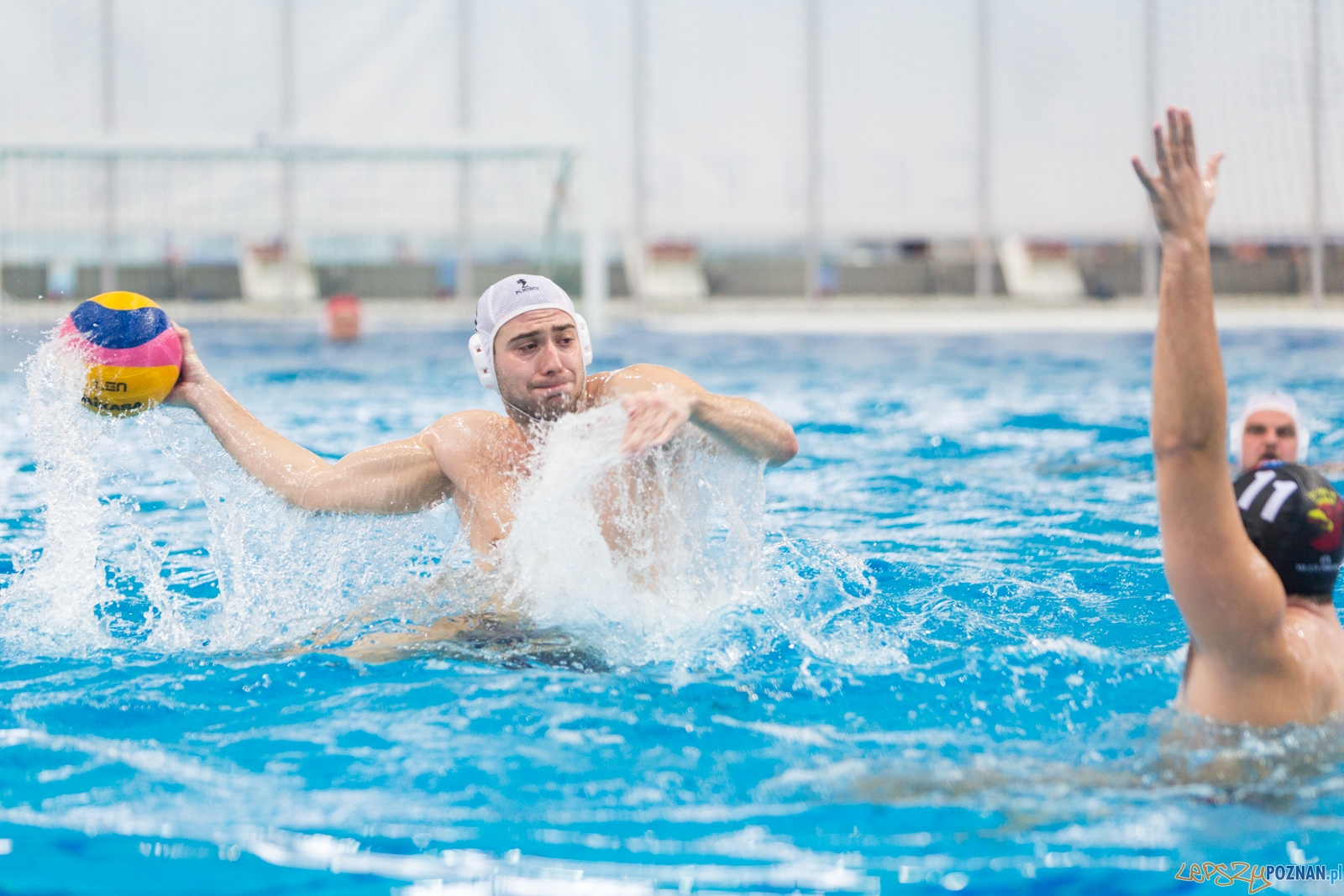 Waterpolo Poznań - Arkonia Szczecin (spotkanie rewanżowe) Foto: lepszyPOZNAN.pl / Piotr Rychter Waterpolo Poznań - Arkonia Szczecin (spotkanie rewanżowe) Foto: lepszyPOZNAN.pl / Piotr Rychter