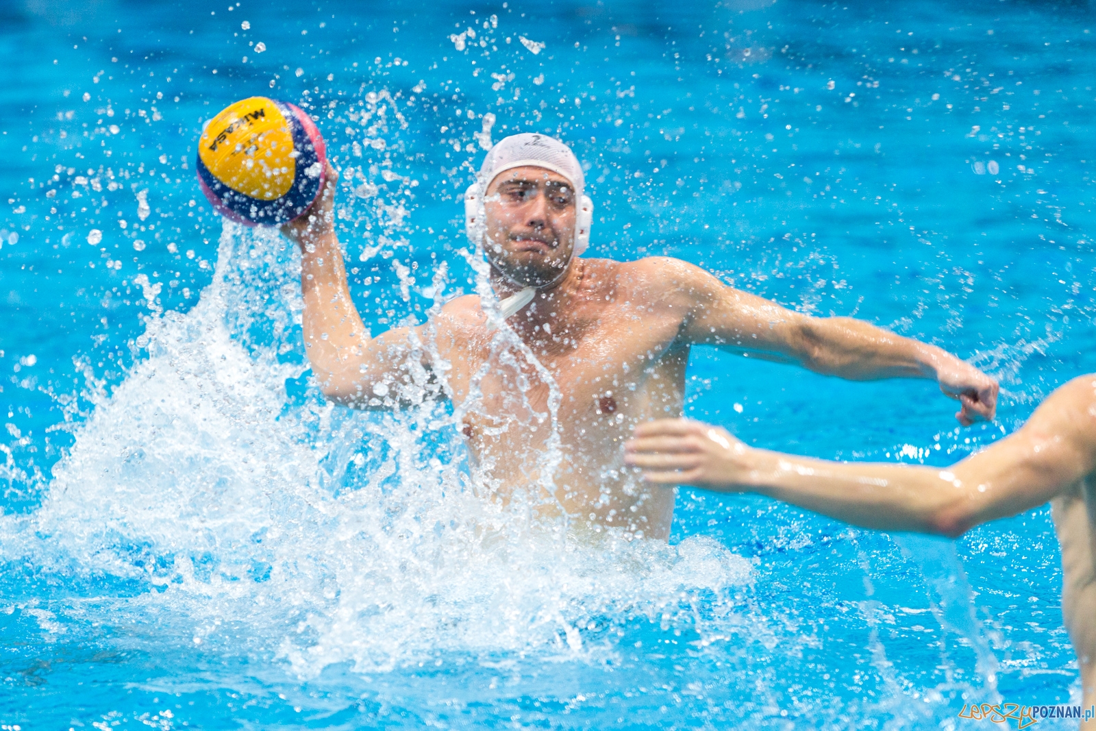Waterpolo Poznań - Arkonia Szczecin Foto: lepszyPOZNAN.pl / Piotr Rychter Waterpolo Poznań - Arkonia Szczecin Foto: lepszyPOZNAN.pl / Piotr Rychter