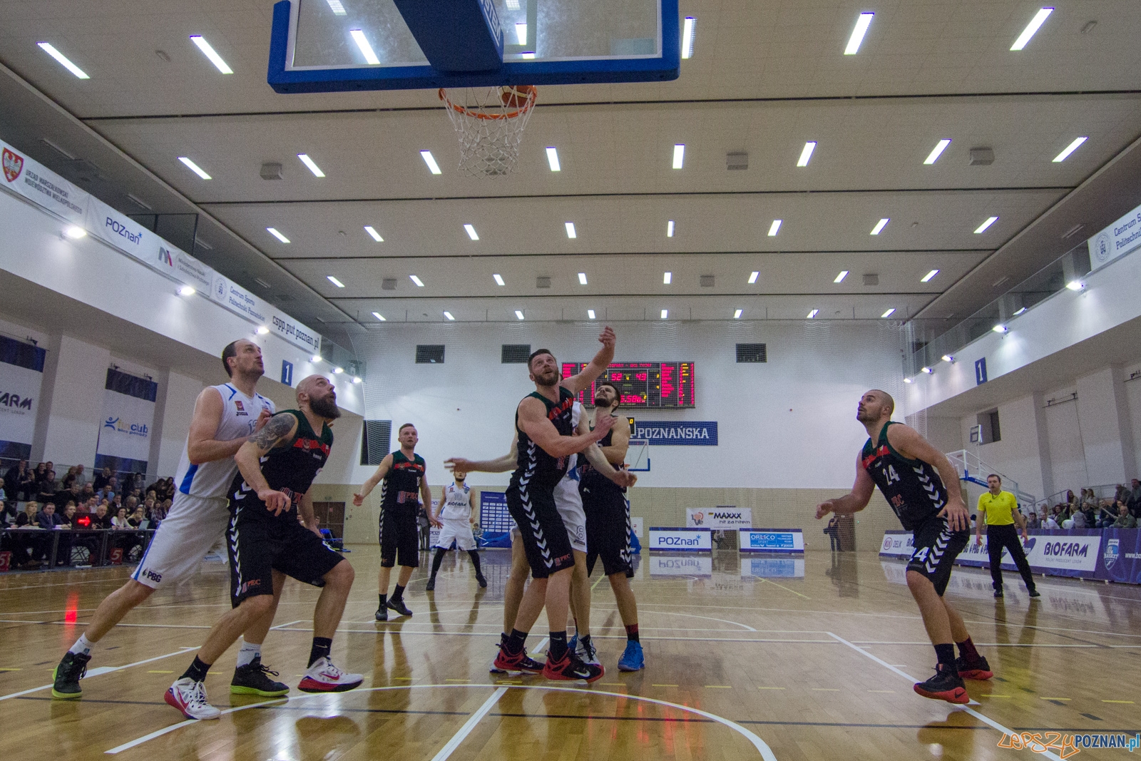Biofarm Basket Poznań - GKS Tychy Foto: lepszyPOZNAN.pl / Ewelina Jaśkowiak Biofarm Basket Poznań - GKS Tychy Foto: lepszyPOZNAN.pl / Ewelina Jaśkowiak