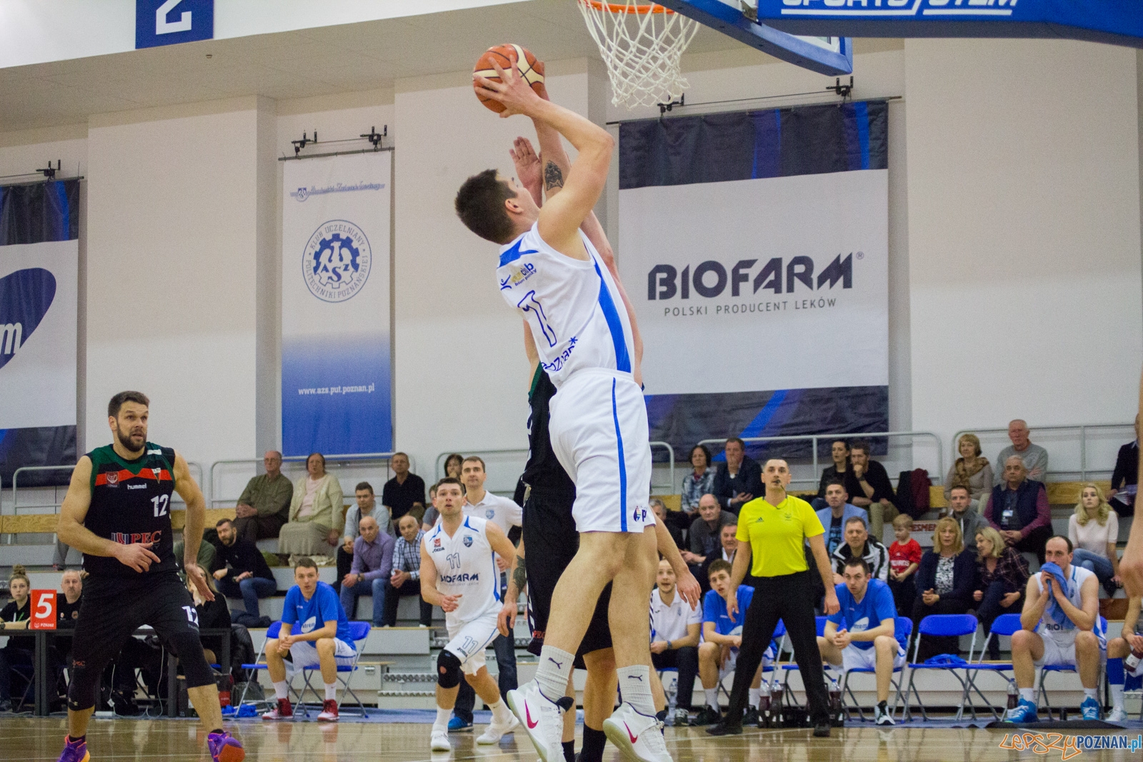 Biofarm Basket Poznań - GKS Tychy Foto: lepszyPOZNAN.pl / Ewelina Jaśkowiak Biofarm Basket Poznań - GKS Tychy Foto: lepszyPOZNAN.pl / Ewelina Jaśkowiak
