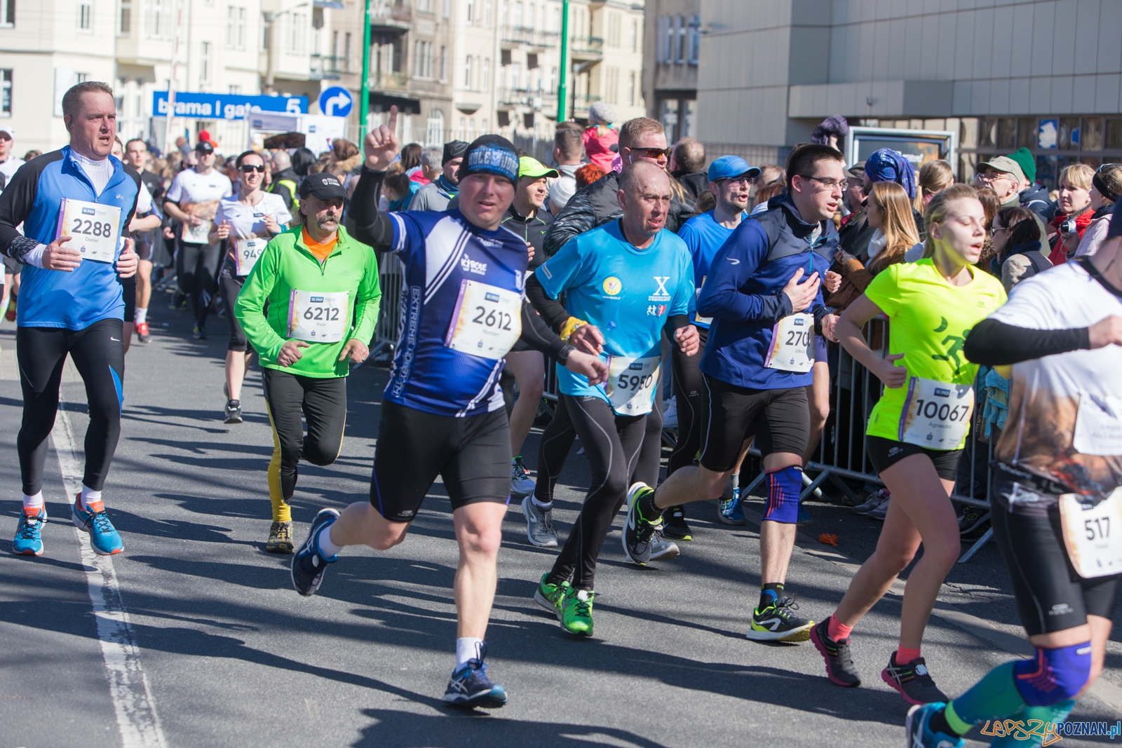 10. PKO Poznań Pólmaraton Foto: lepszyPOZNAN.pl / Piotr Rychter 10. PKO Poznań Pólmaraton Foto: lepszyPOZNAN.pl / Piotr Rychter