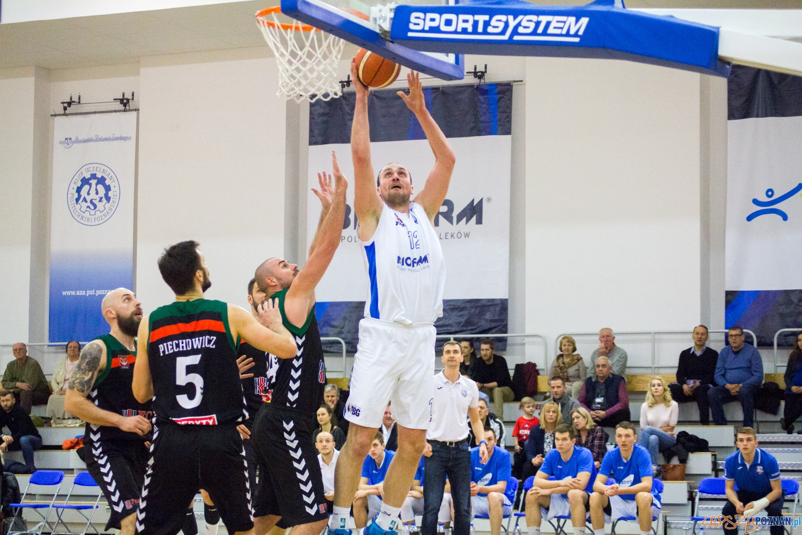 Biofarm Basket Poznań - GKS Tychy Foto: lepszyPOZNAN.pl / Ewelina Jaśkowiak Biofarm Basket Poznań - GKS Tychy Foto: lepszyPOZNAN.pl / Ewelina Jaśkowiak