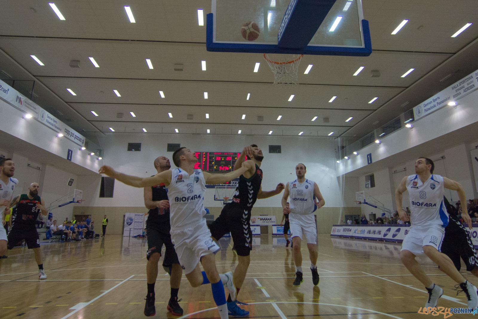 Biofarm Basket Poznań - GKS Tychy Foto: lepszyPOZNAN.pl / Ewelina Jaśkowiak Biofarm Basket Poznań - GKS Tychy Foto: lepszyPOZNAN.pl / Ewelina Jaśkowiak