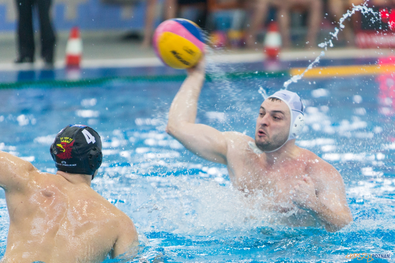 Waterpolo Poznań - Arkonia Szczecin (spotkanie rewanżowe) Foto: lepszyPOZNAN.pl / Piotr Rychter Waterpolo Poznań - Arkonia Szczecin (spotkanie rewanżowe) Foto: lepszyPOZNAN.pl / Piotr Rychter