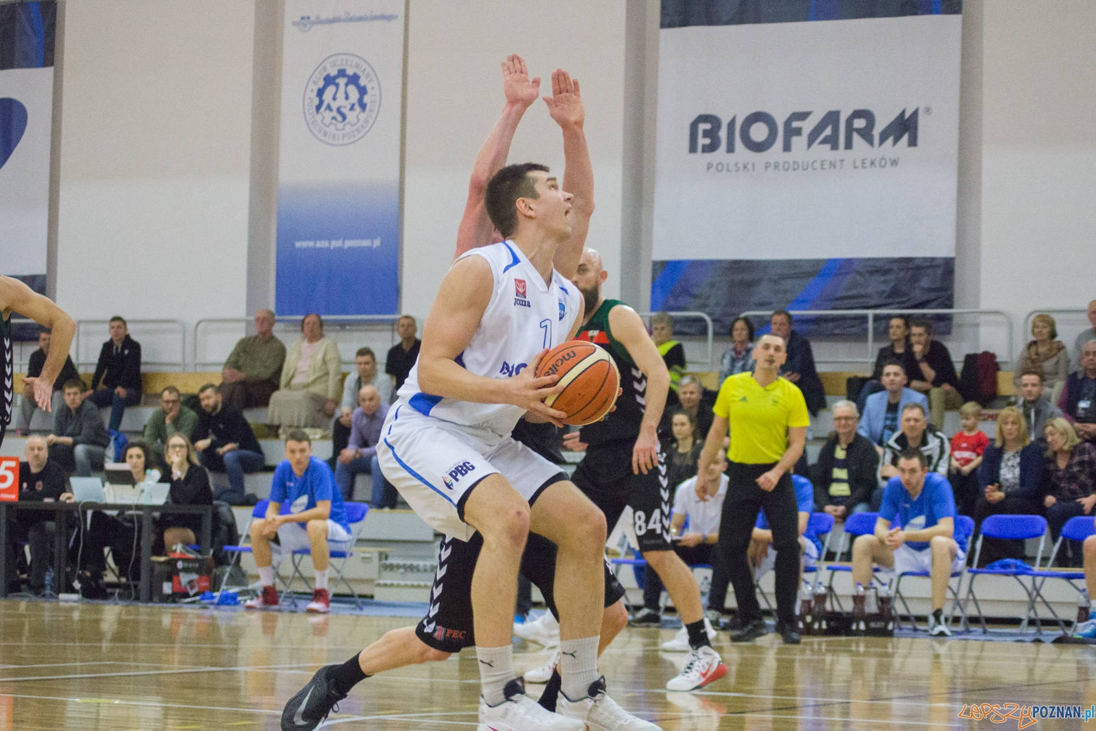 Biofarm Basket Poznań - GKS Tychy Foto: lepszyPOZNAN.pl / Ewelina Jaśkowiak Biofarm Basket Poznań - GKS Tychy Foto: lepszyPOZNAN.pl / Ewelina Jaśkowiak