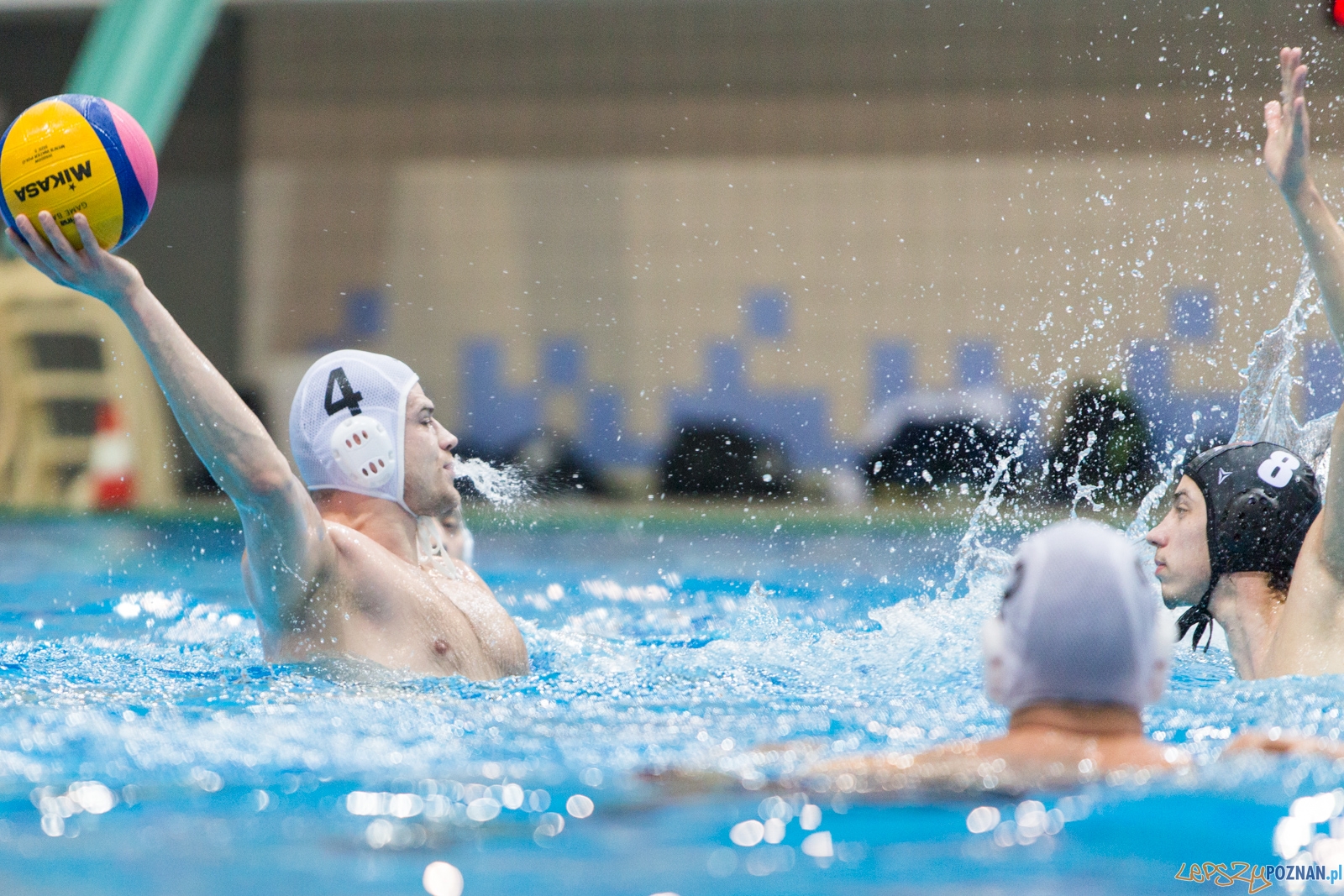 Waterpolo Poznań - Arkonia Szczecin Foto: lepszyPOZNAN.pl / Piotr Rychter Waterpolo Poznań - Arkonia Szczecin Foto: lepszyPOZNAN.pl / Piotr Rychter