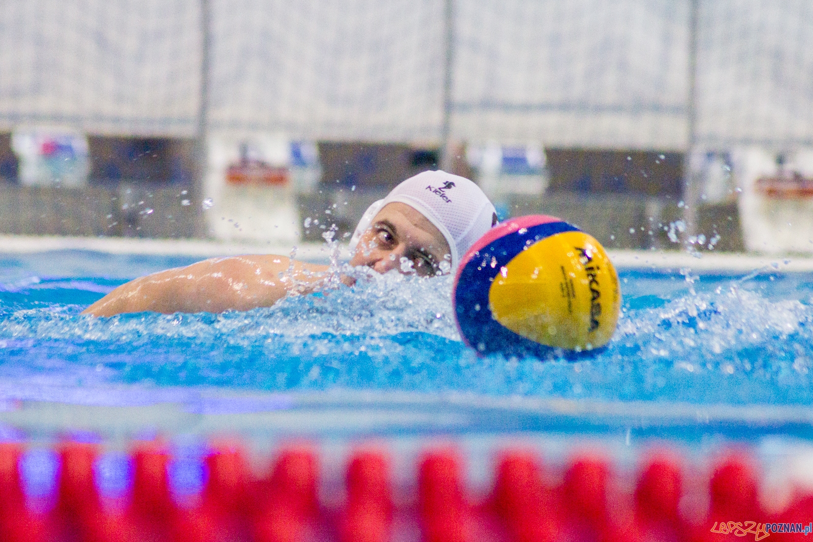 KS Waterpolo Poznań - Arkonia Szczecin Foto: lepszyPOZNAN.pl / Ewelina Jaśkowiak KS Waterpolo Poznań - Arkonia Szczecin Foto: lepszyPOZNAN.pl / Ewelina Jaśkowiak