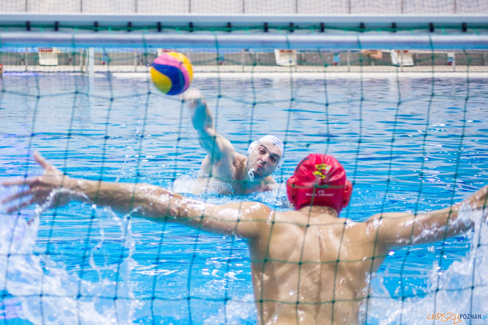 KS Waterpolo Poznań - Arkonia Szczecin Foto: lepszyPOZNAN.pl / Ewelina Jaśkowiak KS Waterpolo Poznań - Arkonia Szczecin Foto: lepszyPOZNAN.pl / Ewelina Jaśkowiak