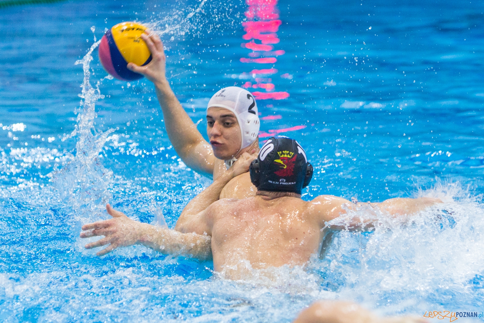 Waterpolo Poznań - Arkonia Szczecin Foto: lepszyPOZNAN.pl / Piotr Rychter Waterpolo Poznań - Arkonia Szczecin Foto: lepszyPOZNAN.pl / Piotr Rychter