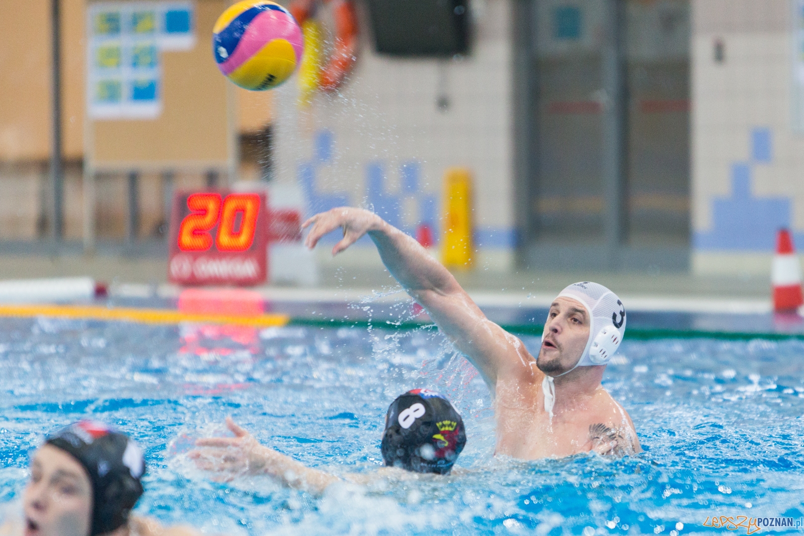 Waterpolo Poznań - Arkonia Szczecin (spotkanie rewanżowe) Foto: lepszyPOZNAN.pl / Piotr Rychter Waterpolo Poznań - Arkonia Szczecin (spotkanie rewanżowe) Foto: lepszyPOZNAN.pl / Piotr Rychter