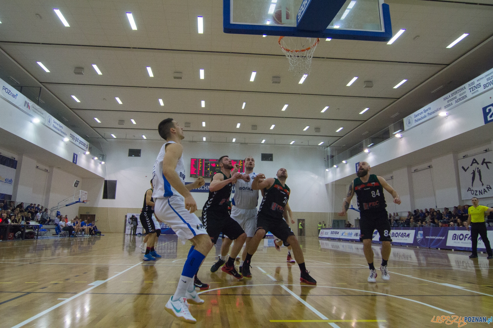 Biofarm Basket Poznań - GKS Tychy Foto: lepszyPOZNAN.pl / Ewelina Jaśkowiak Biofarm Basket Poznań - GKS Tychy Foto: lepszyPOZNAN.pl / Ewelina Jaśkowiak