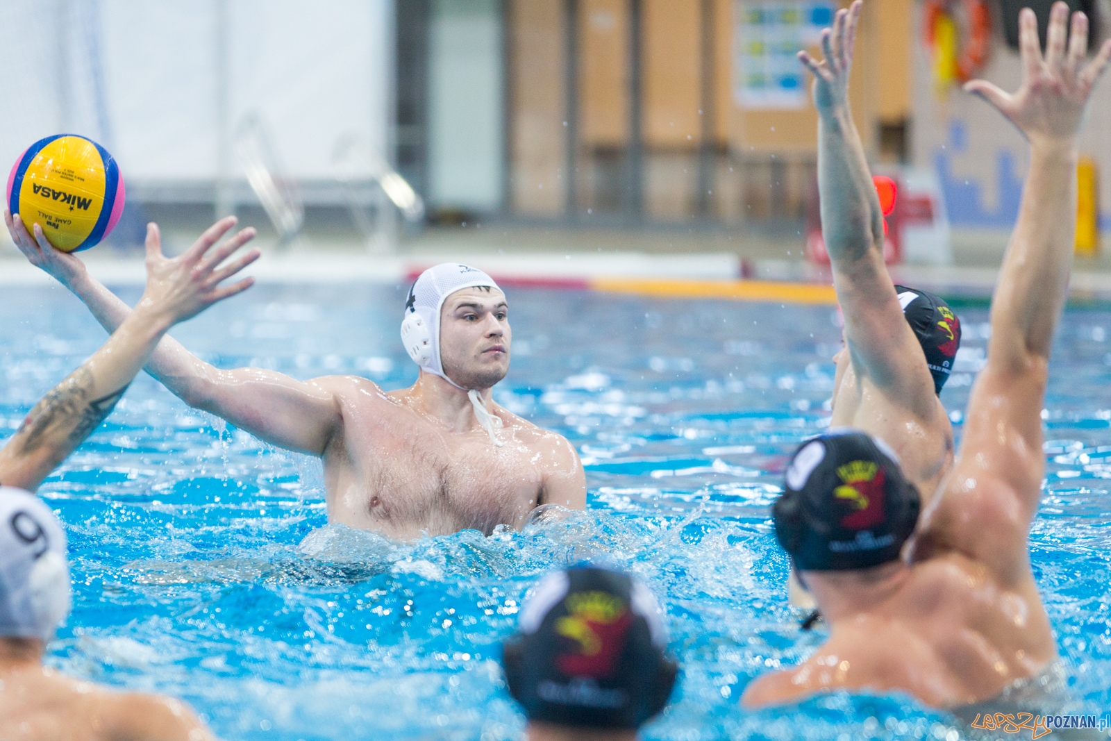 Waterpolo Poznań - Arkonia Szczecin (spotkanie rewanżowe) Foto: lepszyPOZNAN.pl / Piotr Rychter Waterpolo Poznań - Arkonia Szczecin (spotkanie rewanżowe) Foto: lepszyPOZNAN.pl / Piotr Rychter