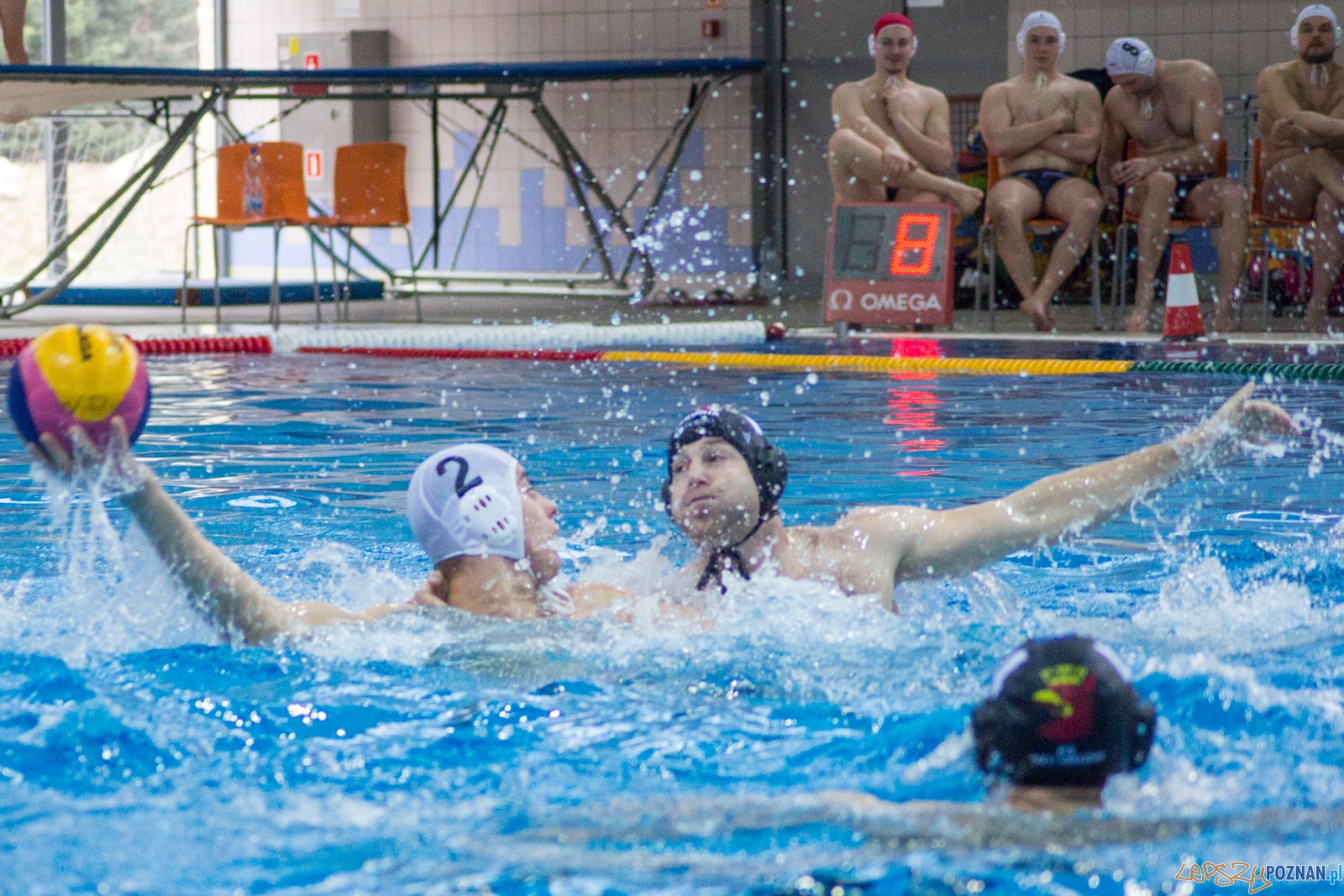 KS Waterpolo Poznań - Arkonia Szczecin (mecz rewanżowy) Foto: lepszyPOZNAN.pl / Ewelina Jaśkowiak KS Waterpolo Poznań - Arkonia Szczecin (mecz rewanżowy) Foto: lepszyPOZNAN.pl / Ewelina Jaśkowiak