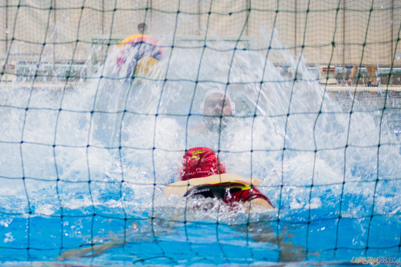 KS Waterpolo Poznań - Arkonia Szczecin Foto: lepszyPOZNAN.pl / Ewelina Jaśkowiak KS Waterpolo Poznań - Arkonia Szczecin Foto: lepszyPOZNAN.pl / Ewelina Jaśkowiak