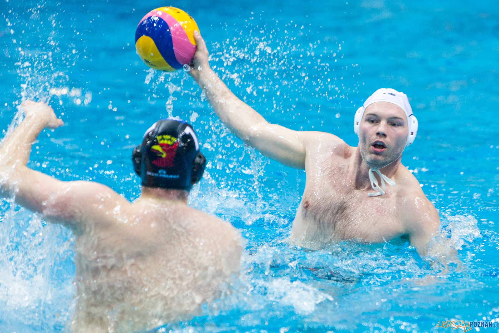 Waterpolo Poznań - Arkonia Szczecin Foto: lepszyPOZNAN.pl / Piotr Rychter Waterpolo Poznań - Arkonia Szczecin Foto: lepszyPOZNAN.pl / Piotr Rychter