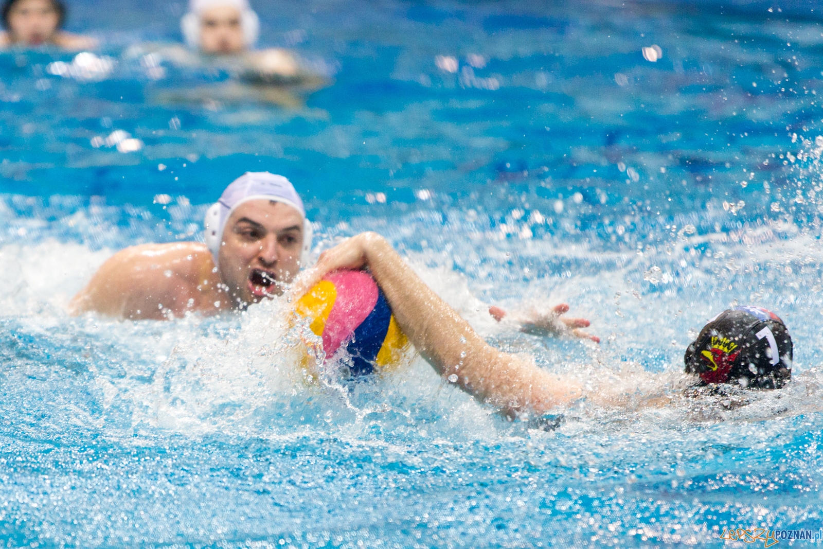 Waterpolo Poznań - Arkonia Szczecin Foto: lepszyPOZNAN.pl / Piotr Rychter Waterpolo Poznań - Arkonia Szczecin Foto: lepszyPOZNAN.pl / Piotr Rychter