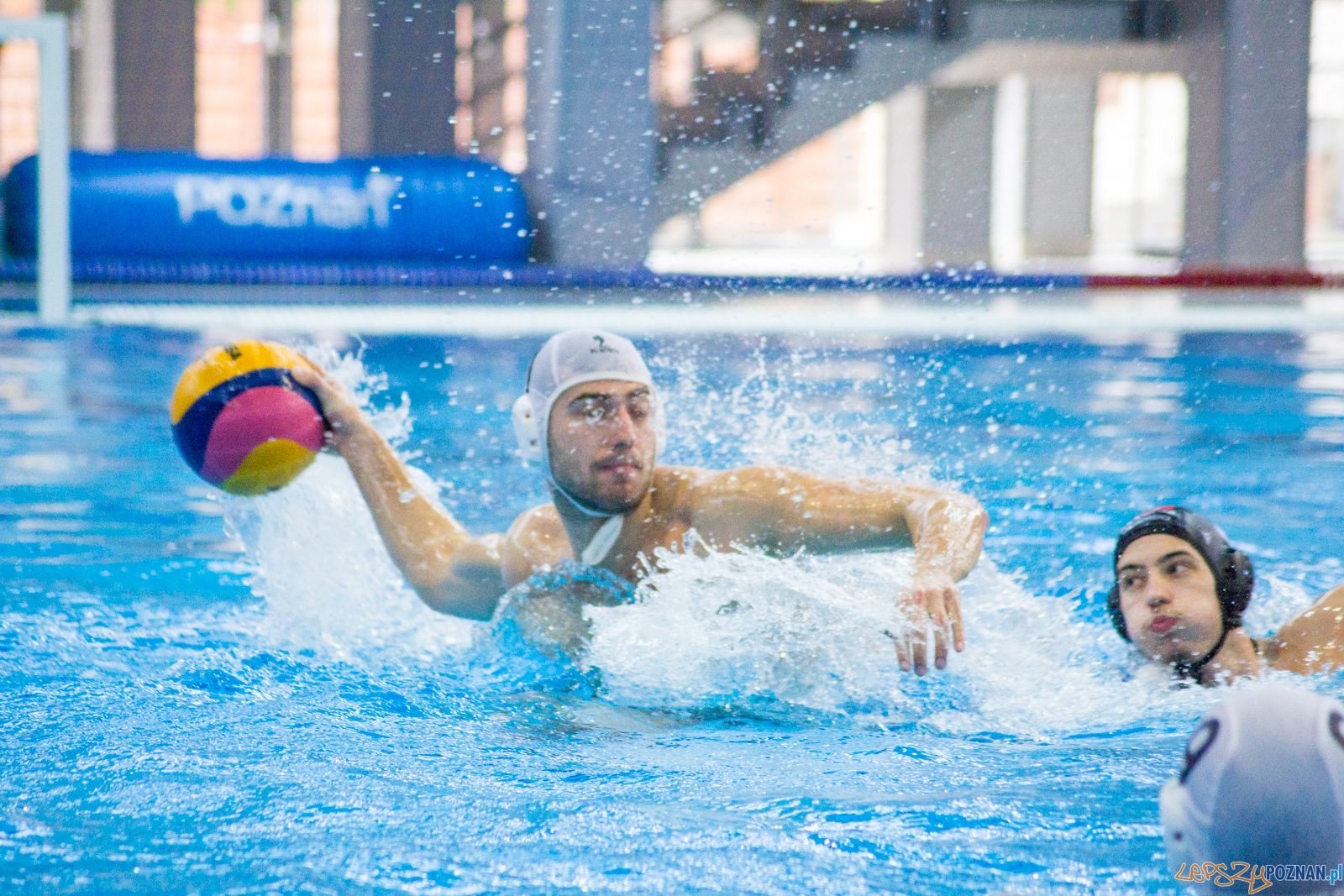 KS Waterpolo Poznań - Arkonia Szczecin (mecz rewanżowy) Foto: lepszyPOZNAN.pl / Ewelina Jaśkowiak KS Waterpolo Poznań - Arkonia Szczecin (mecz rewanżowy) Foto: lepszyPOZNAN.pl / Ewelina Jaśkowiak