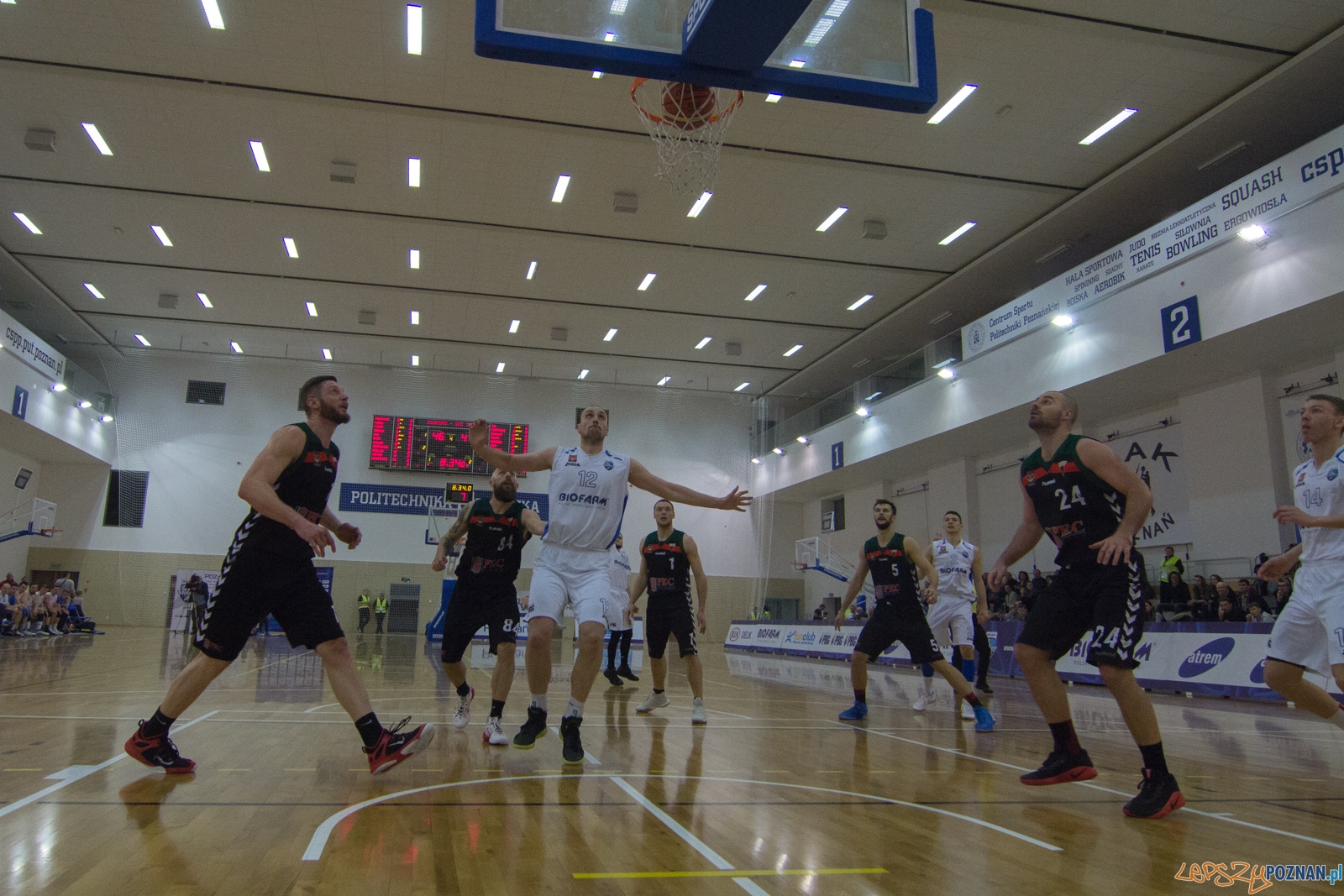 Biofarm Basket Poznań - GKS Tychy Foto: lepszyPOZNAN.pl / Ewelina Jaśkowiak Biofarm Basket Poznań - GKS Tychy Foto: lepszyPOZNAN.pl / Ewelina Jaśkowiak