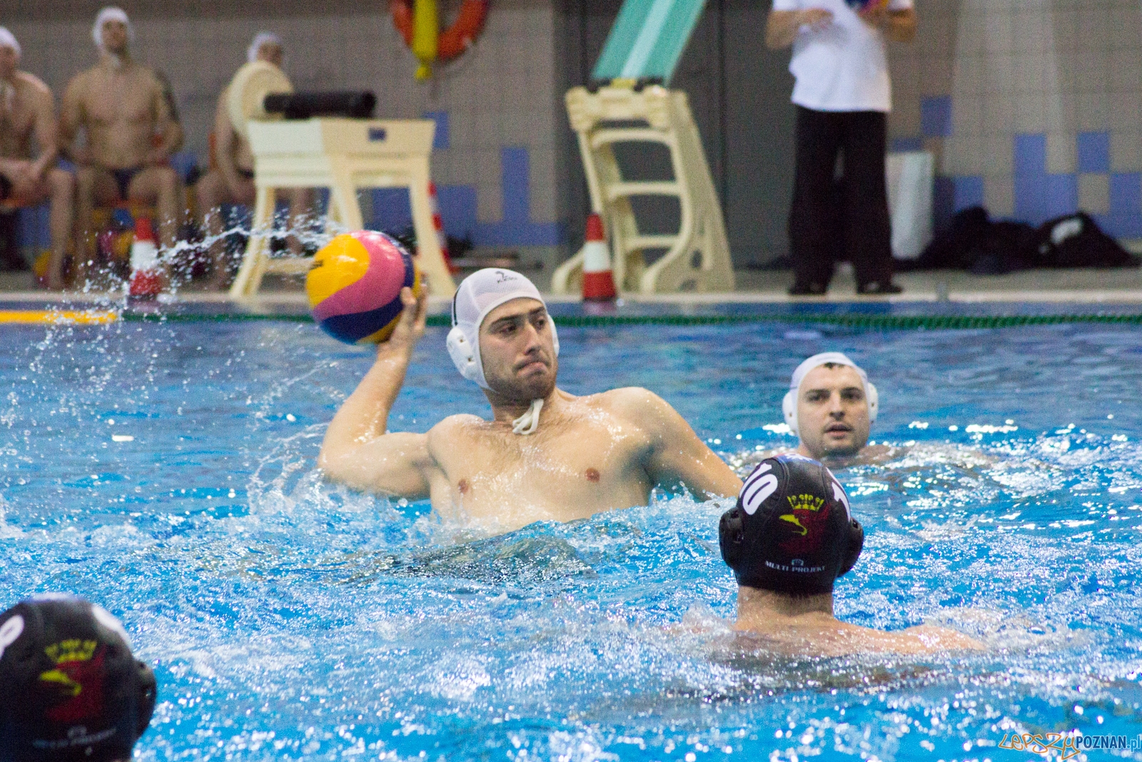 KS Waterpolo Poznań - Arkonia Szczecin Foto: lepszyPOZNAN.pl / Ewelina Jaśkowiak KS Waterpolo Poznań - Arkonia Szczecin Foto: lepszyPOZNAN.pl / Ewelina Jaśkowiak