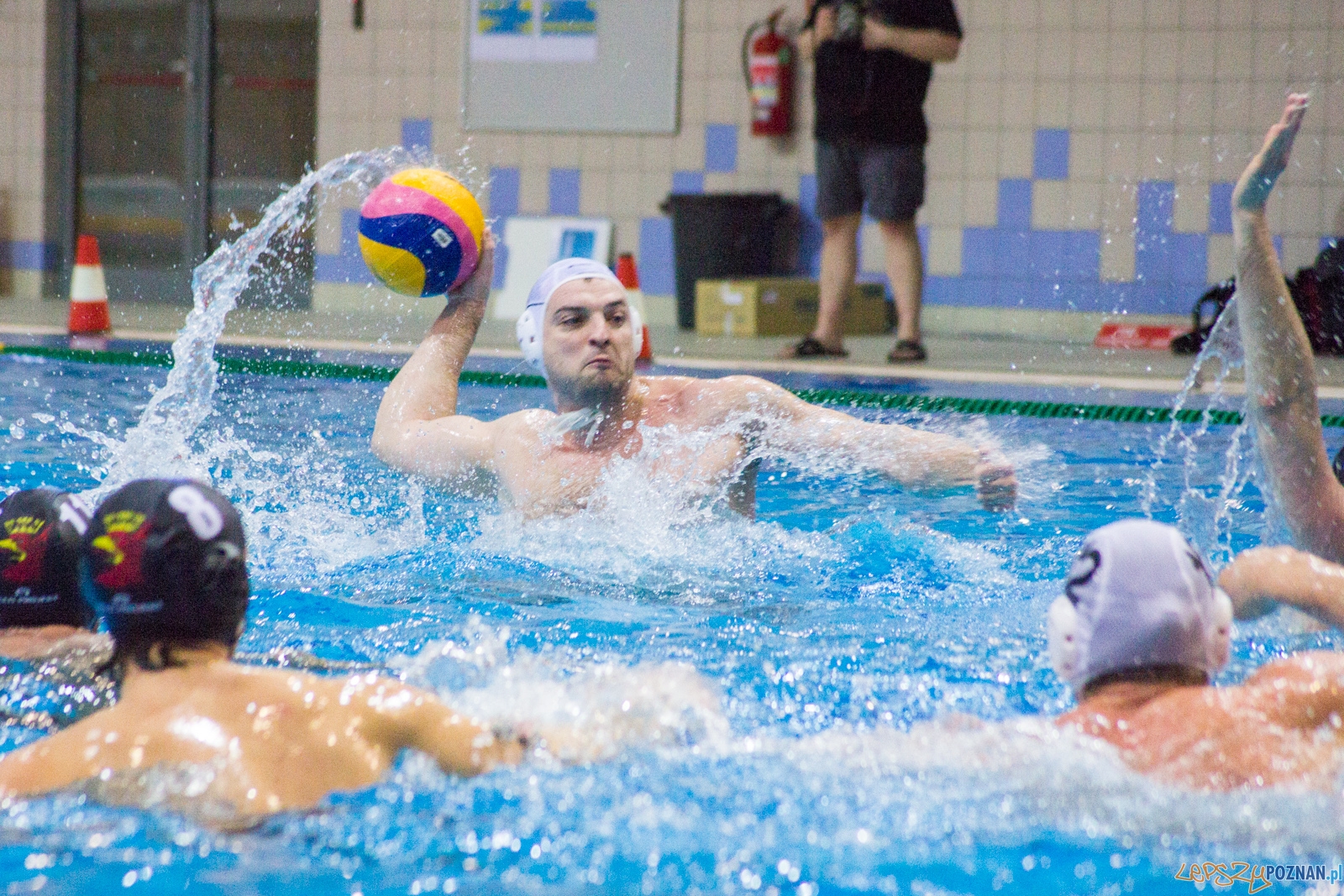 KS Waterpolo Poznań - Arkonia Szczecin Foto: lepszyPOZNAN.pl / Ewelina Jaśkowiak KS Waterpolo Poznań - Arkonia Szczecin Foto: lepszyPOZNAN.pl / Ewelina Jaśkowiak