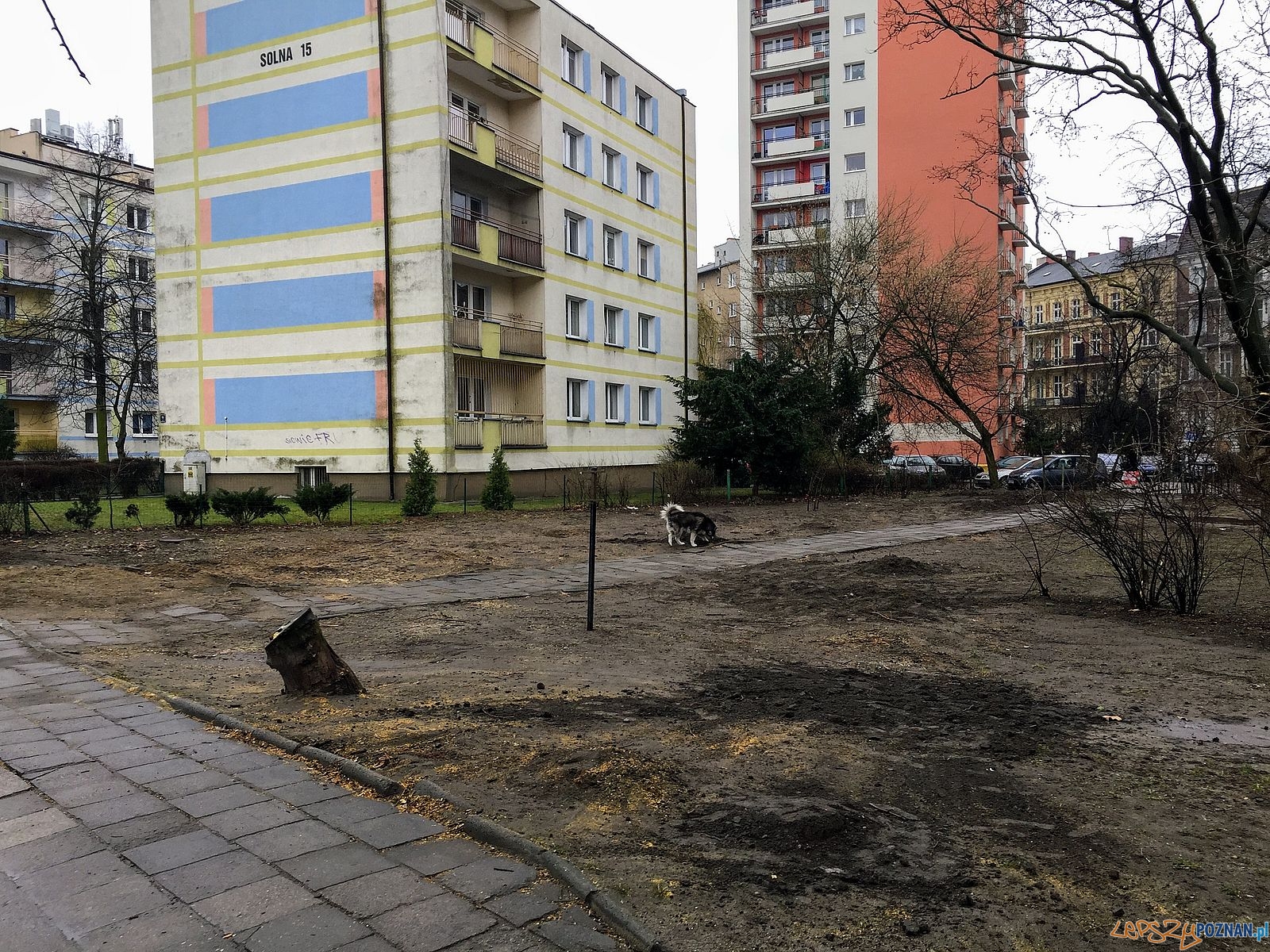 Tu byl zielony skwer Foto: Marcin Liminowicz / Rada Osiedla Stare Miasto Tu byl zielony skwer Foto: Marcin Liminowicz / Rada Osiedla Stare Miasto