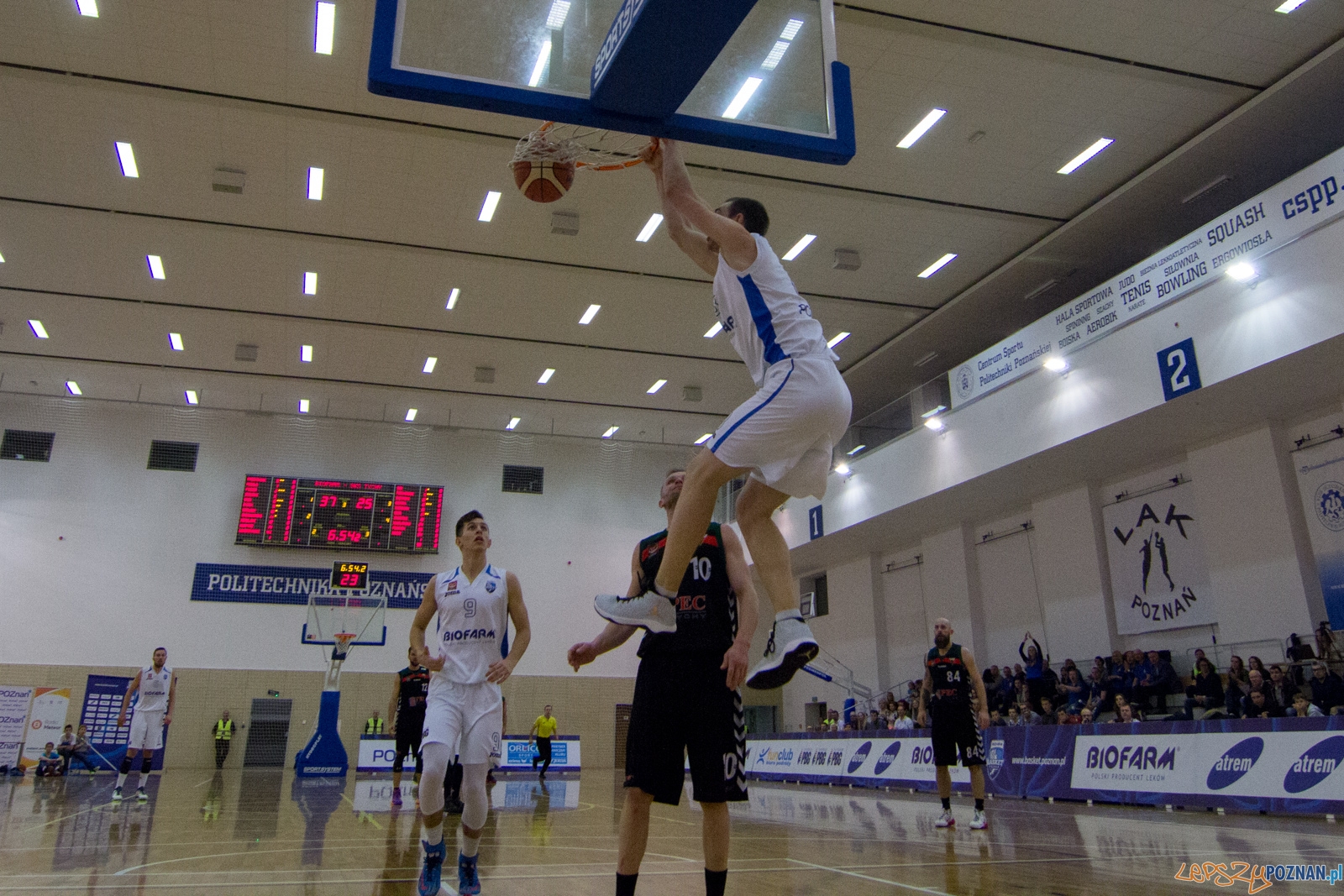 Biofarm Basket Poznań - GKS Tychy Foto: lepszyPOZNAN.pl / Ewelina Jaśkowiak Biofarm Basket Poznań - GKS Tychy Foto: lepszyPOZNAN.pl / Ewelina Jaśkowiak