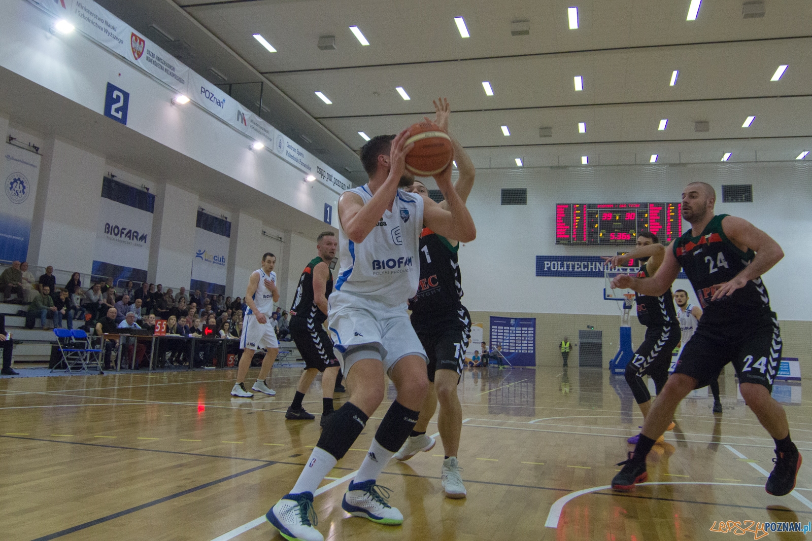 Biofarm Basket Poznań - GKS Tychy Foto: lepszyPOZNAN.pl / Ewelina Jaśkowiak Biofarm Basket Poznań - GKS Tychy Foto: lepszyPOZNAN.pl / Ewelina Jaśkowiak
