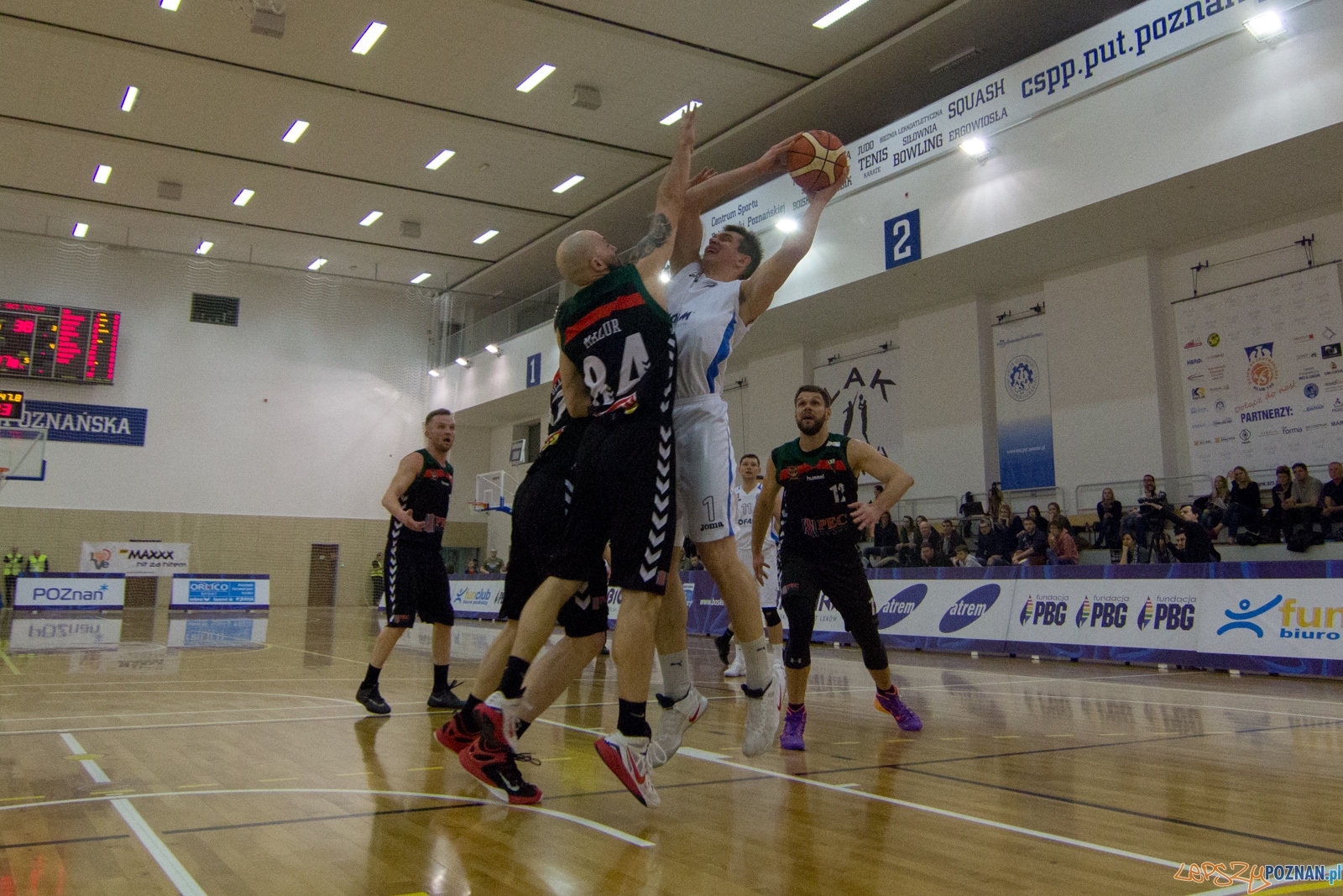 Biofarm Basket Poznań - GKS Tychy Foto: lepszyPOZNAN.pl / Ewelina Jaśkowiak Biofarm Basket Poznań - GKS Tychy Foto: lepszyPOZNAN.pl / Ewelina Jaśkowiak