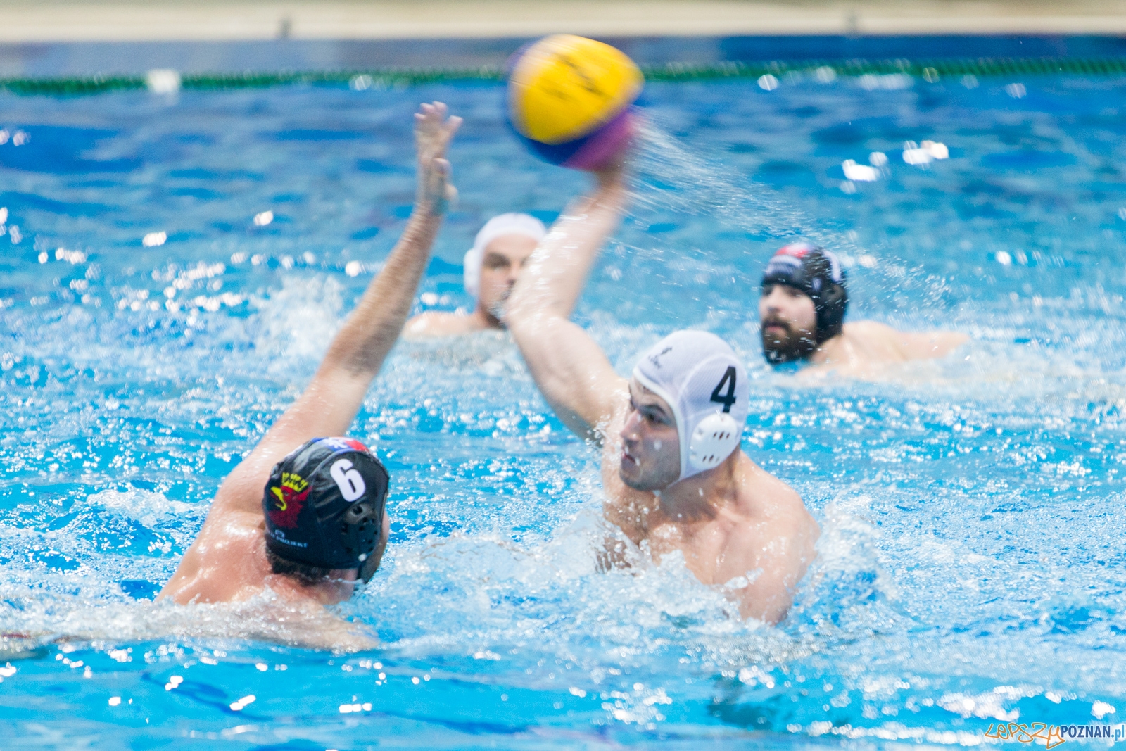 Waterpolo Poznań - Arkonia Szczecin Foto: lepszyPOZNAN.pl / Piotr Rychter Waterpolo Poznań - Arkonia Szczecin Foto: lepszyPOZNAN.pl / Piotr Rychter