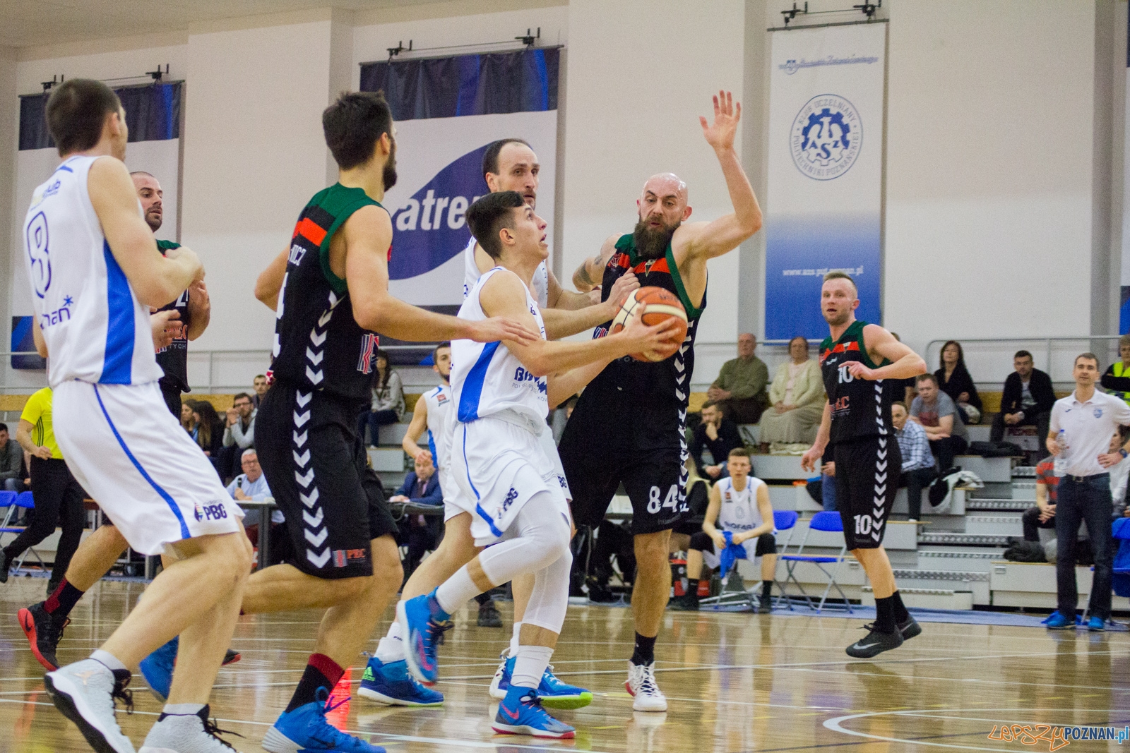 Biofarm Basket Poznań - GKS Tychy Foto: lepszyPOZNAN.pl / Ewelina Jaśkowiak Biofarm Basket Poznań - GKS Tychy Foto: lepszyPOZNAN.pl / Ewelina Jaśkowiak