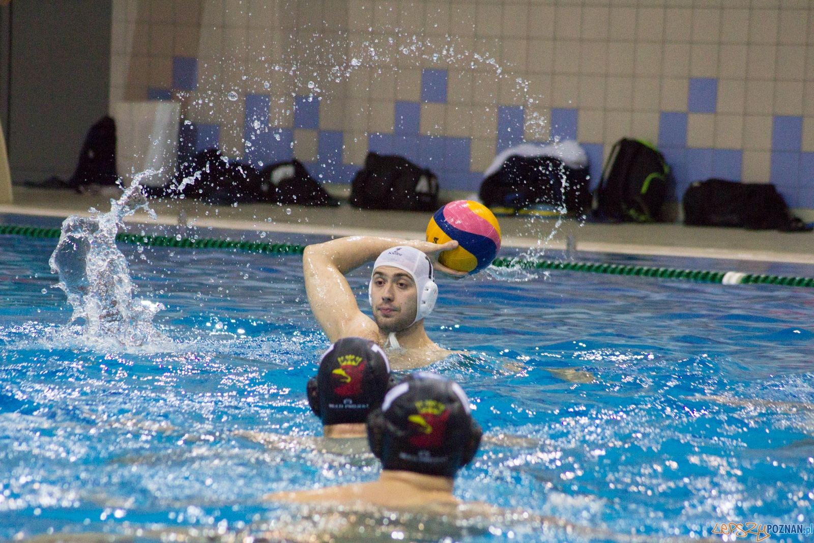 KS Waterpolo Poznań - Arkonia Szczecin Foto: lepszyPOZNAN.pl / Ewelina Jaśkowiak KS Waterpolo Poznań - Arkonia Szczecin Foto: lepszyPOZNAN.pl / Ewelina Jaśkowiak