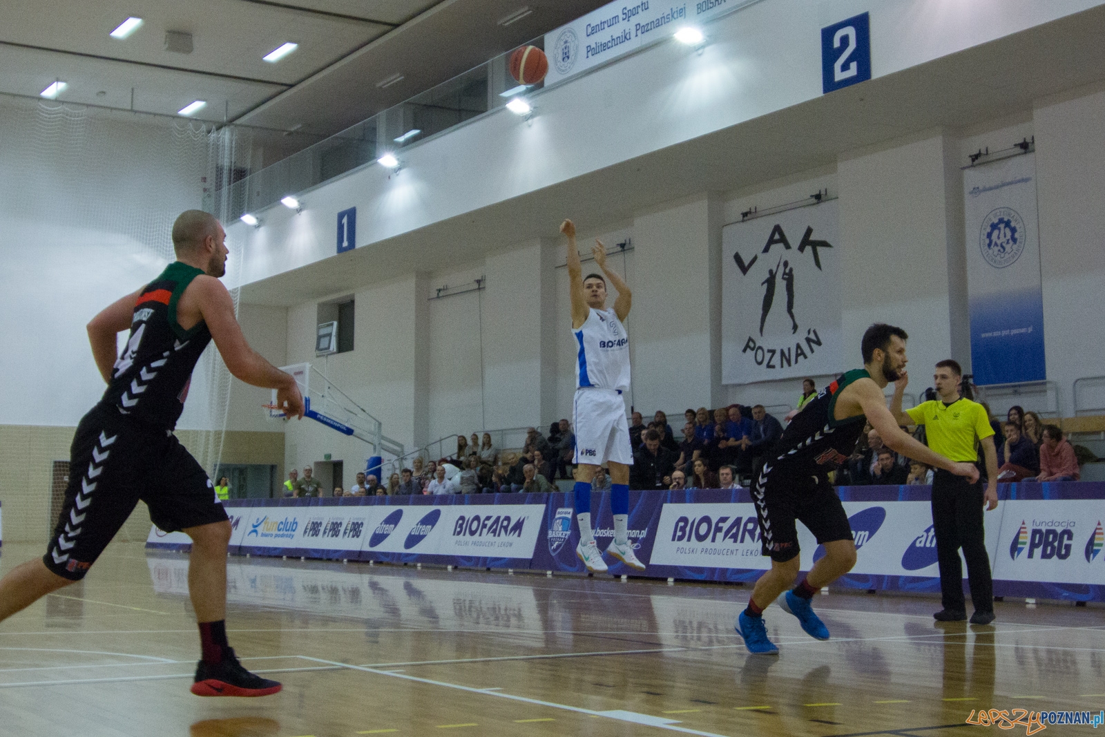 Biofarm Basket Poznań - GKS Tychy Foto: lepszyPOZNAN.pl / Ewelina Jaśkowiak Biofarm Basket Poznań - GKS Tychy Foto: lepszyPOZNAN.pl / Ewelina Jaśkowiak