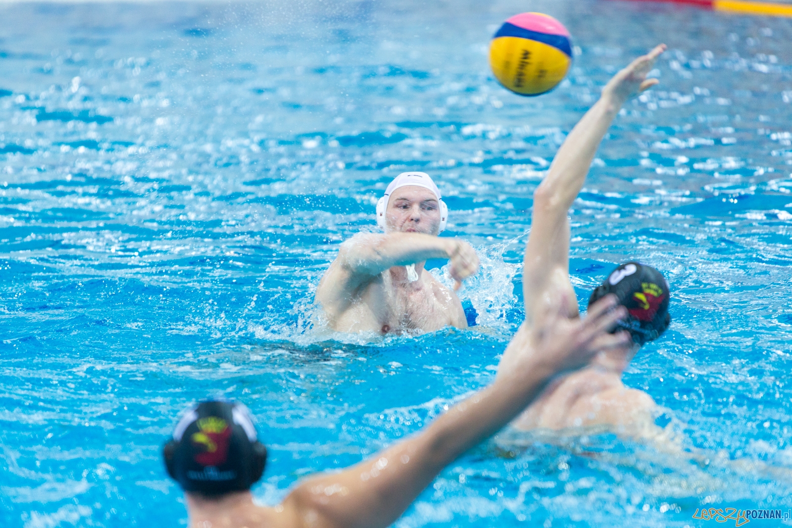 Waterpolo Poznań - Arkonia Szczecin (spotkanie rewanżowe) Foto: lepszyPOZNAN.pl / Piotr Rychter Waterpolo Poznań - Arkonia Szczecin (spotkanie rewanżowe) Foto: lepszyPOZNAN.pl / Piotr Rychter