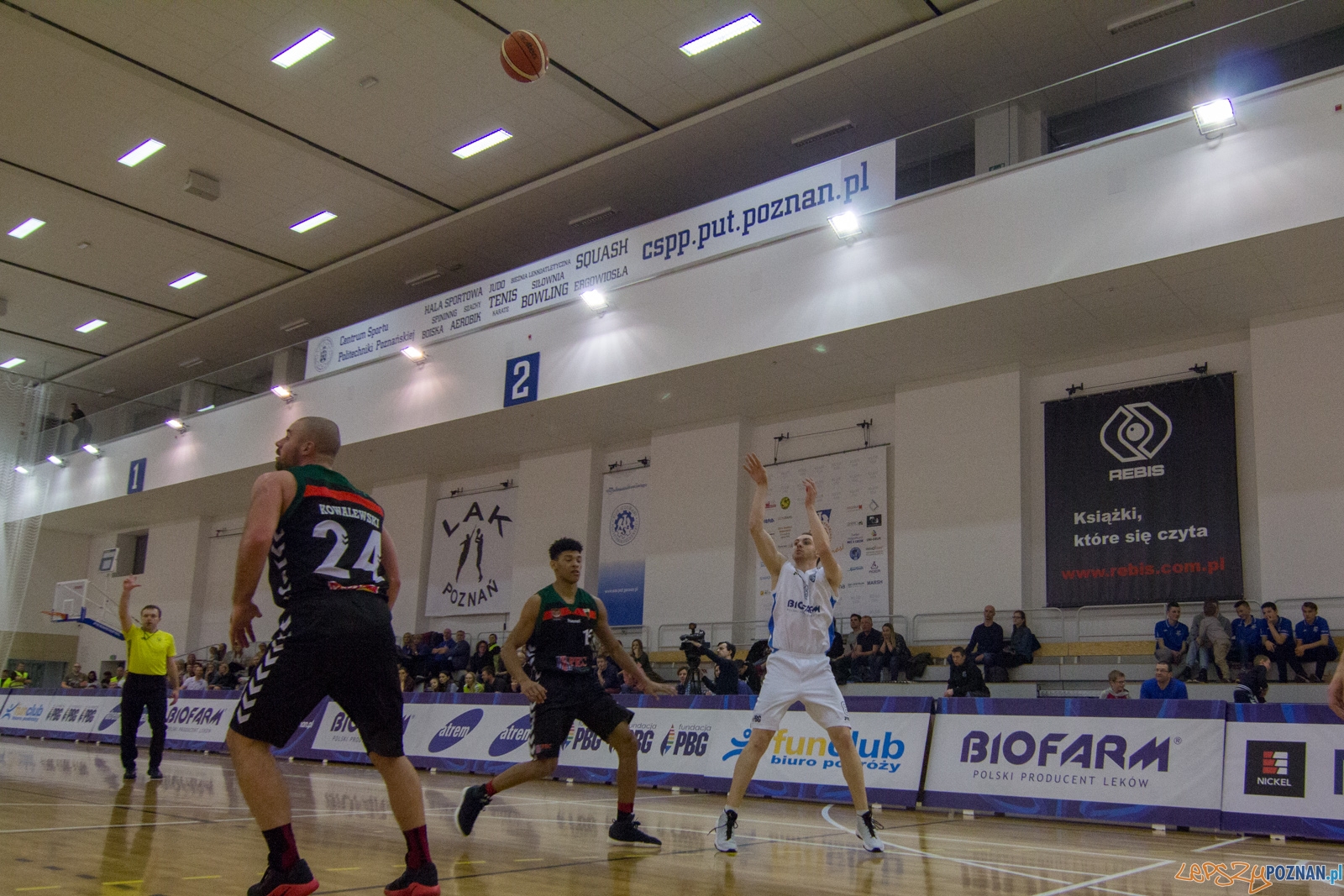 Biofarm Basket Poznań - GKS Tychy Foto: lepszyPOZNAN.pl / Ewelina Jaśkowiak Biofarm Basket Poznań - GKS Tychy Foto: lepszyPOZNAN.pl / Ewelina Jaśkowiak