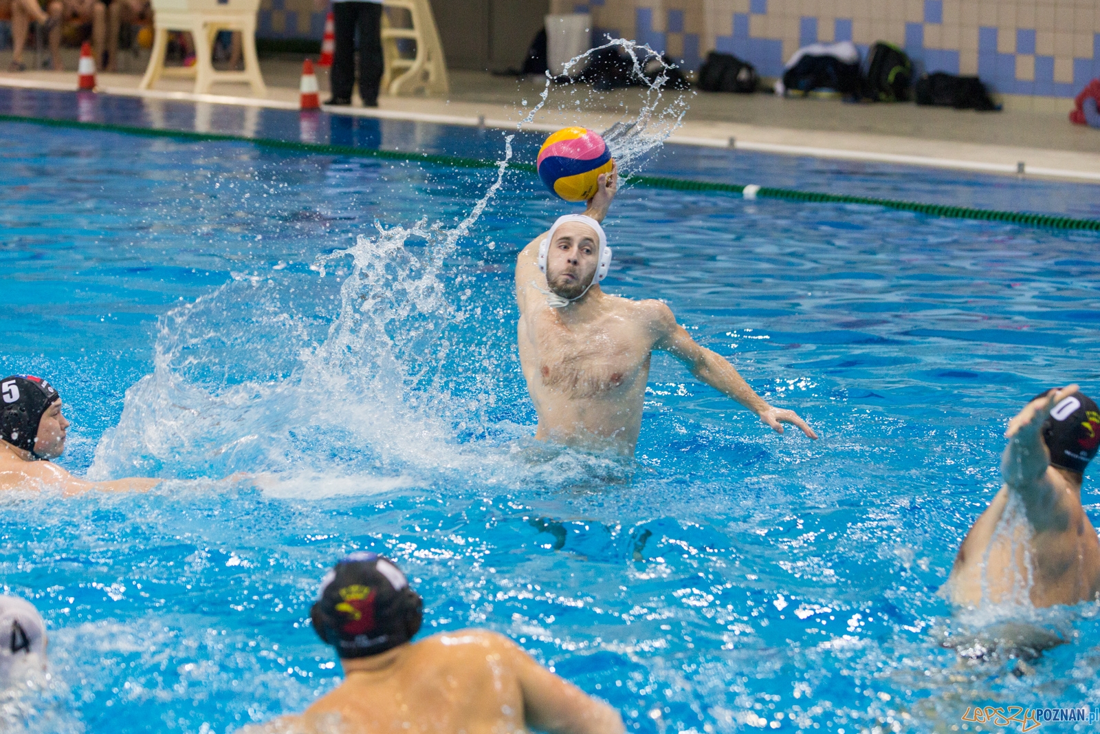 Waterpolo Poznań - Arkonia Szczecin Foto: lepszyPOZNAN.pl / Piotr Rychter Waterpolo Poznań - Arkonia Szczecin Foto: lepszyPOZNAN.pl / Piotr Rychter
