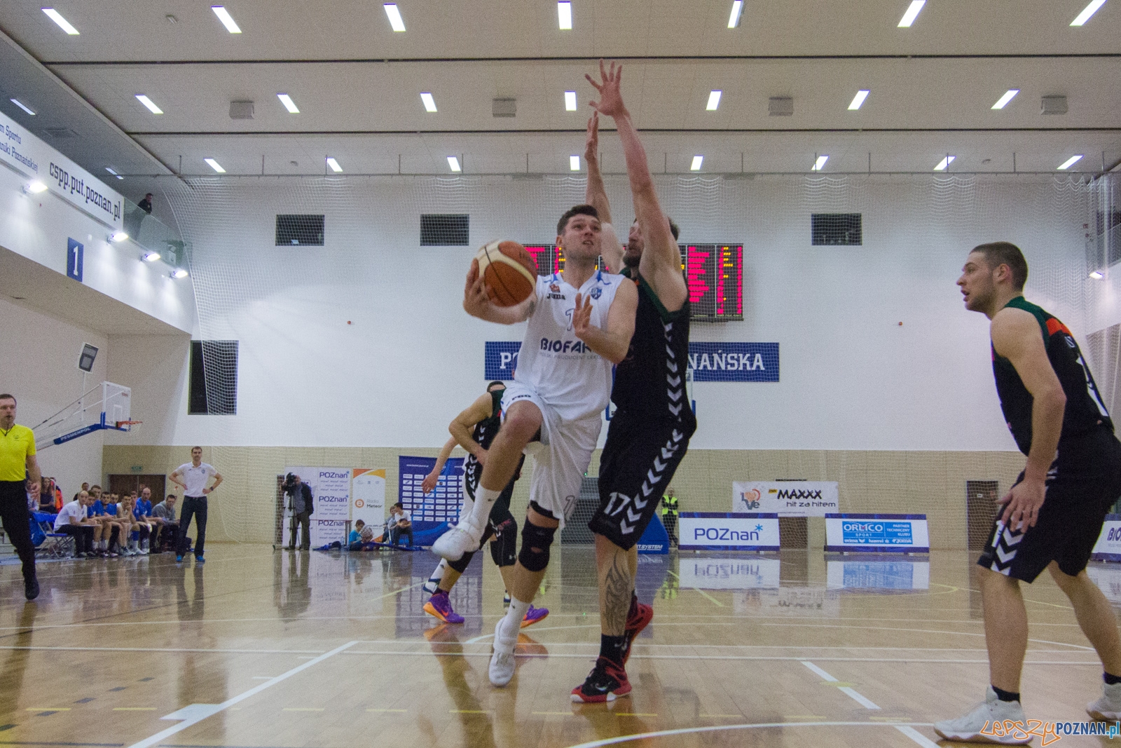 Biofarm Basket Poznań - GKS Tychy Foto: lepszyPOZNAN.pl / Ewelina Jaśkowiak Biofarm Basket Poznań - GKS Tychy Foto: lepszyPOZNAN.pl / Ewelina Jaśkowiak