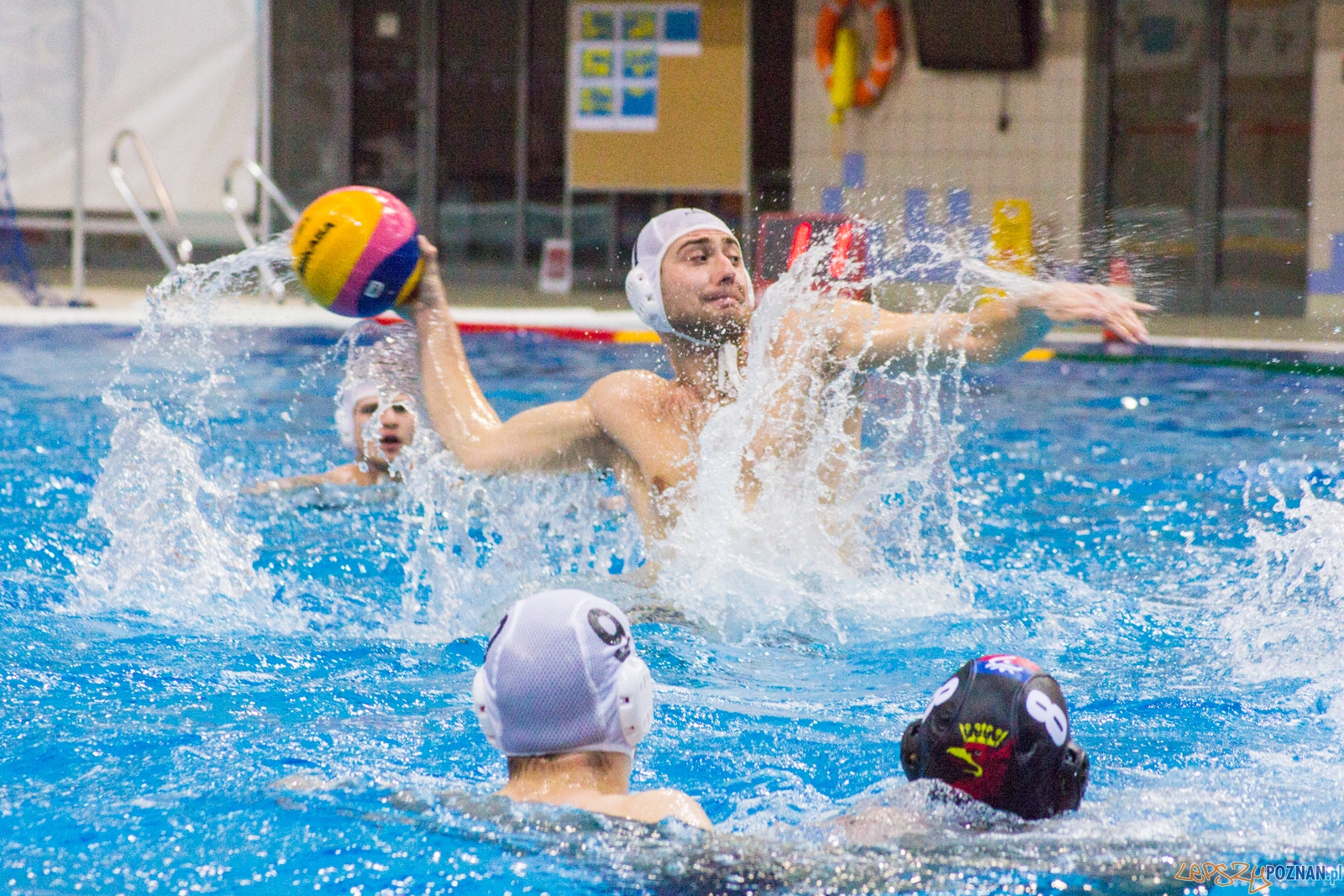 KS Waterpolo Poznań - Arkonia Szczecin Foto: lepszyPOZNAN.pl / Ewelina Jaśkowiak KS Waterpolo Poznań - Arkonia Szczecin Foto: lepszyPOZNAN.pl / Ewelina Jaśkowiak