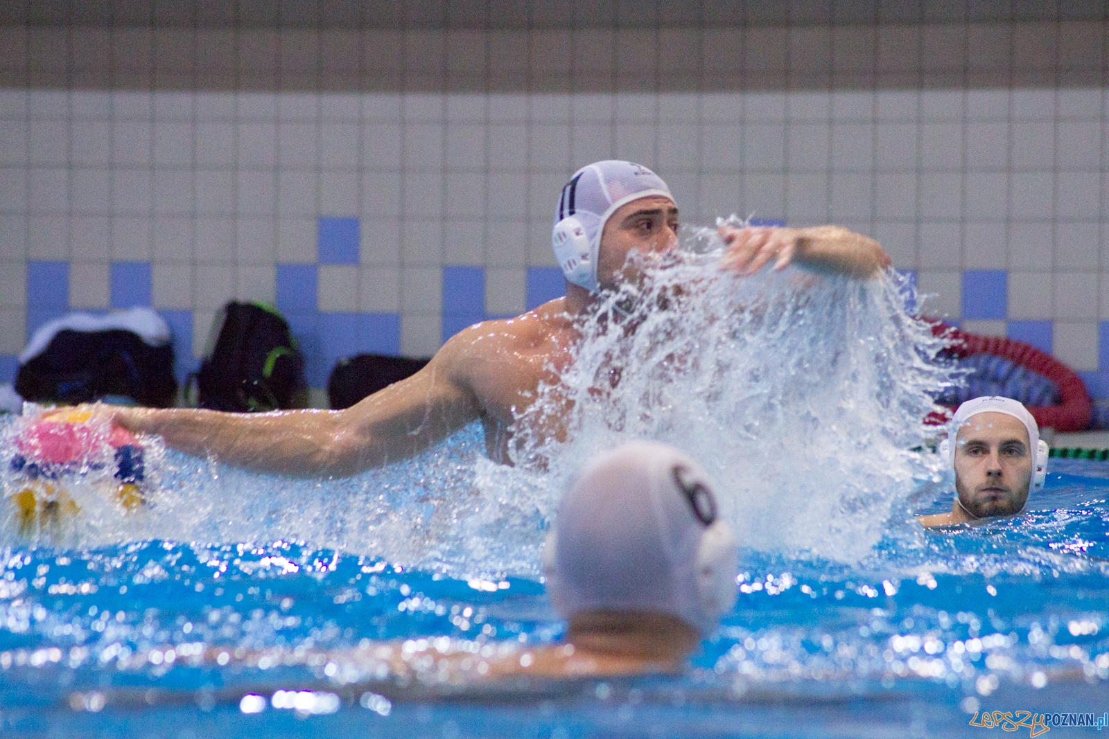 KS Waterpolo Poznań - Arkonia Szczecin Foto: lepszyPOZNAN.pl / Ewelina Jaśkowiak KS Waterpolo Poznań - Arkonia Szczecin Foto: lepszyPOZNAN.pl / Ewelina Jaśkowiak