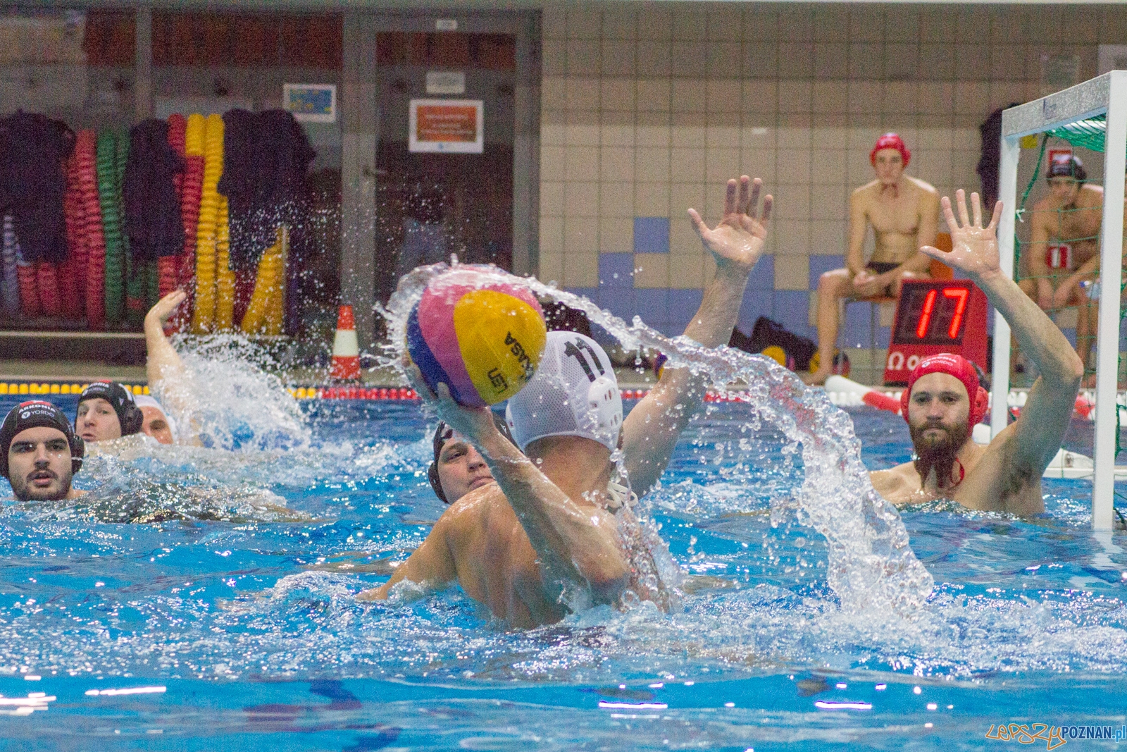 KS Waterpolo Poznań - Arkonia Szczecin Foto: lepszyPOZNAN.pl / Ewelina Jaśkowiak KS Waterpolo Poznań - Arkonia Szczecin Foto: lepszyPOZNAN.pl / Ewelina Jaśkowiak