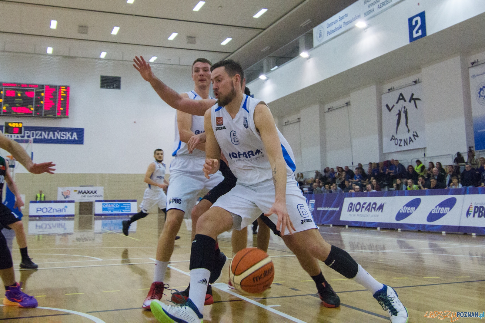 Biofarm Basket Poznań - GKS Tychy Foto: lepszyPOZNAN.pl / Ewelina Jaśkowiak Biofarm Basket Poznań - GKS Tychy Foto: lepszyPOZNAN.pl / Ewelina Jaśkowiak