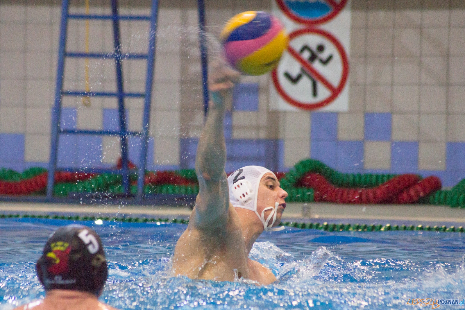 KS Waterpolo Poznań - Arkonia Szczecin Foto: lepszyPOZNAN.pl / Ewelina Jaśkowiak KS Waterpolo Poznań - Arkonia Szczecin Foto: lepszyPOZNAN.pl / Ewelina Jaśkowiak