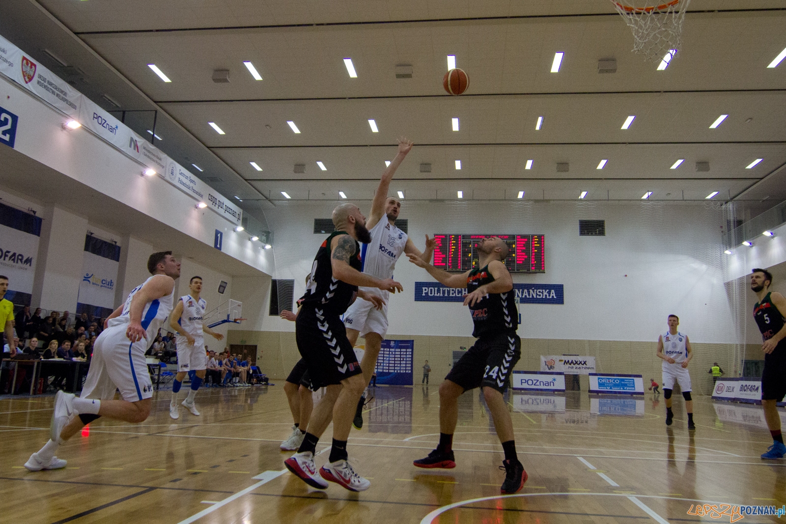 Biofarm Basket Poznań - GKS Tychy Foto: lepszyPOZNAN.pl / Ewelina Jaśkowiak Biofarm Basket Poznań - GKS Tychy Foto: lepszyPOZNAN.pl / Ewelina Jaśkowiak