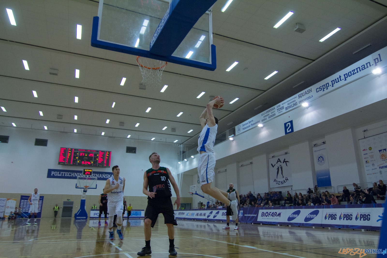 Biofarm Basket Poznań - GKS Tychy Foto: lepszyPOZNAN.pl / Ewelina Jaśkowiak Biofarm Basket Poznań - GKS Tychy Foto: lepszyPOZNAN.pl / Ewelina Jaśkowiak